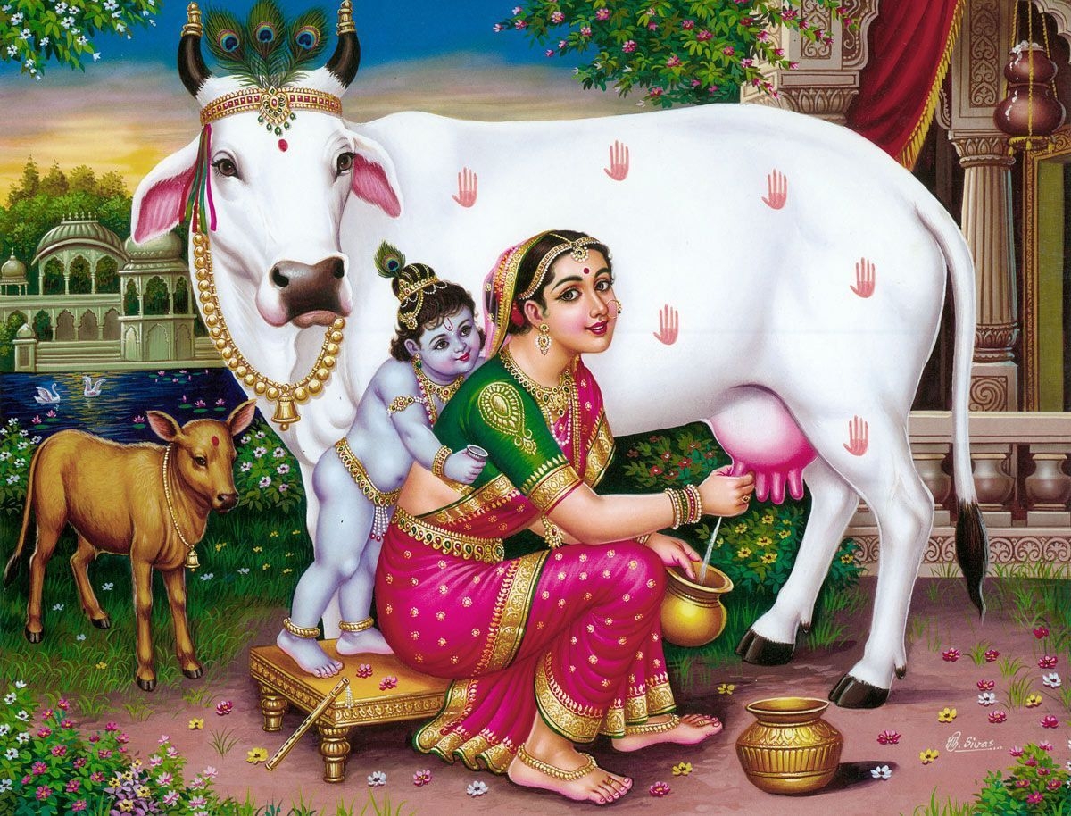 1200x920 Krishna Watching Yashoda Milching Cow. Krishna art, Bal krishna photo, Krishna wallpaper, Desktop