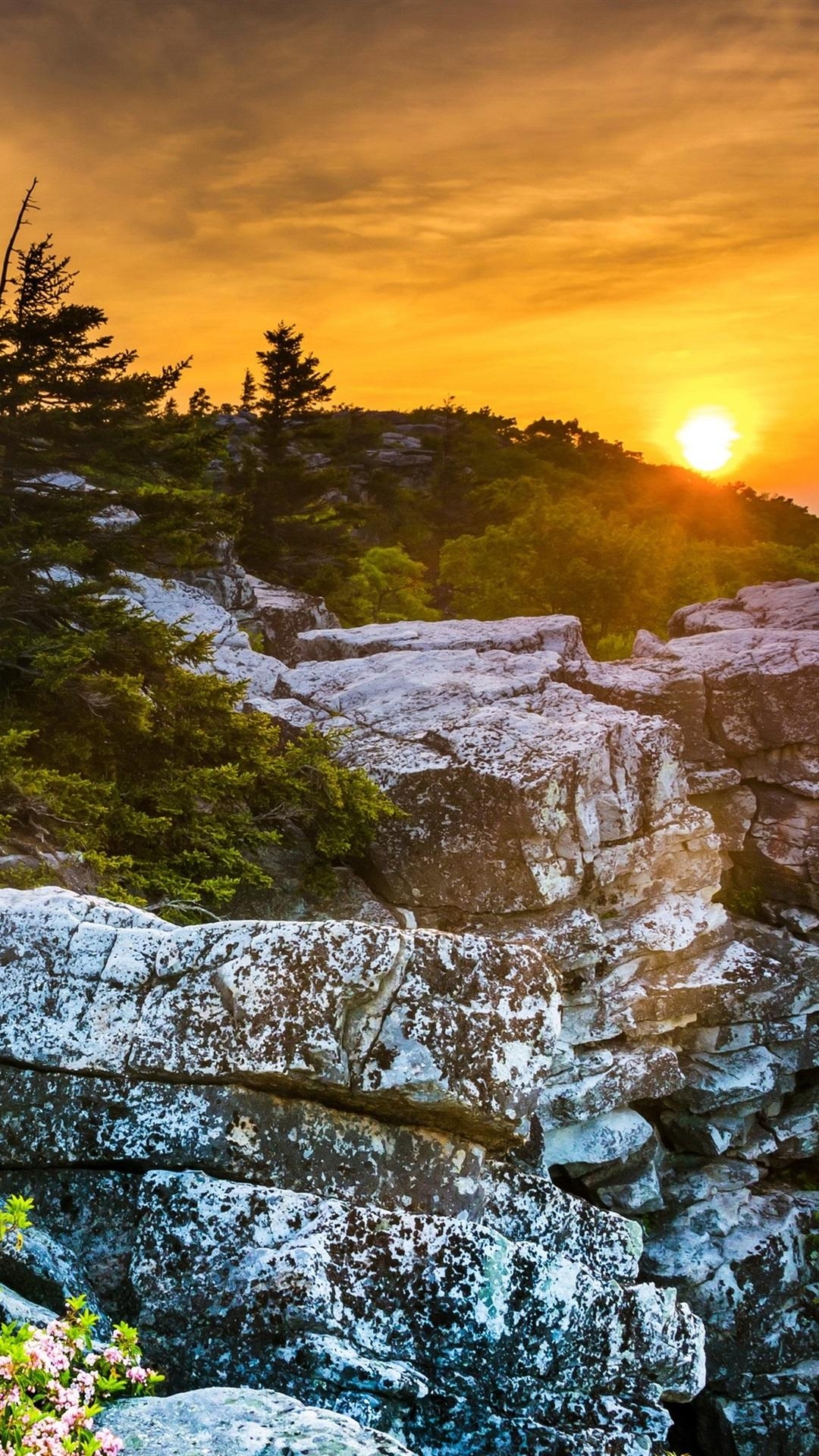 1080x1920 USA, West Virginia, beautiful sunset, rocks, trees, red sky, Phone