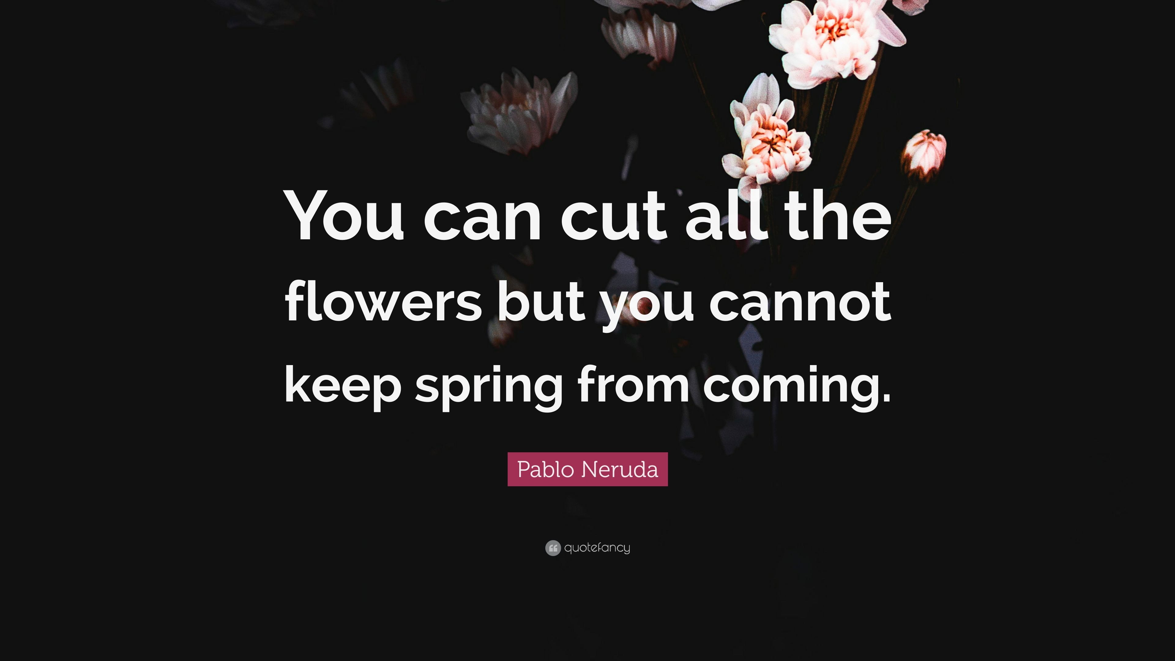 3840x2160 Pablo Neruda Quote: “You can cut all the flowers but you cannot, Desktop