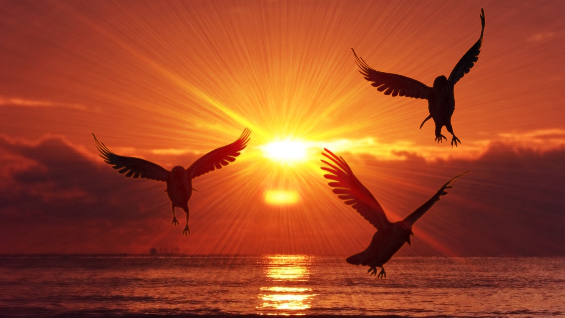 1920x1080 Wallpaper, orange, birds, sunrise, silhouette, sea, sky, clouds, Desktop