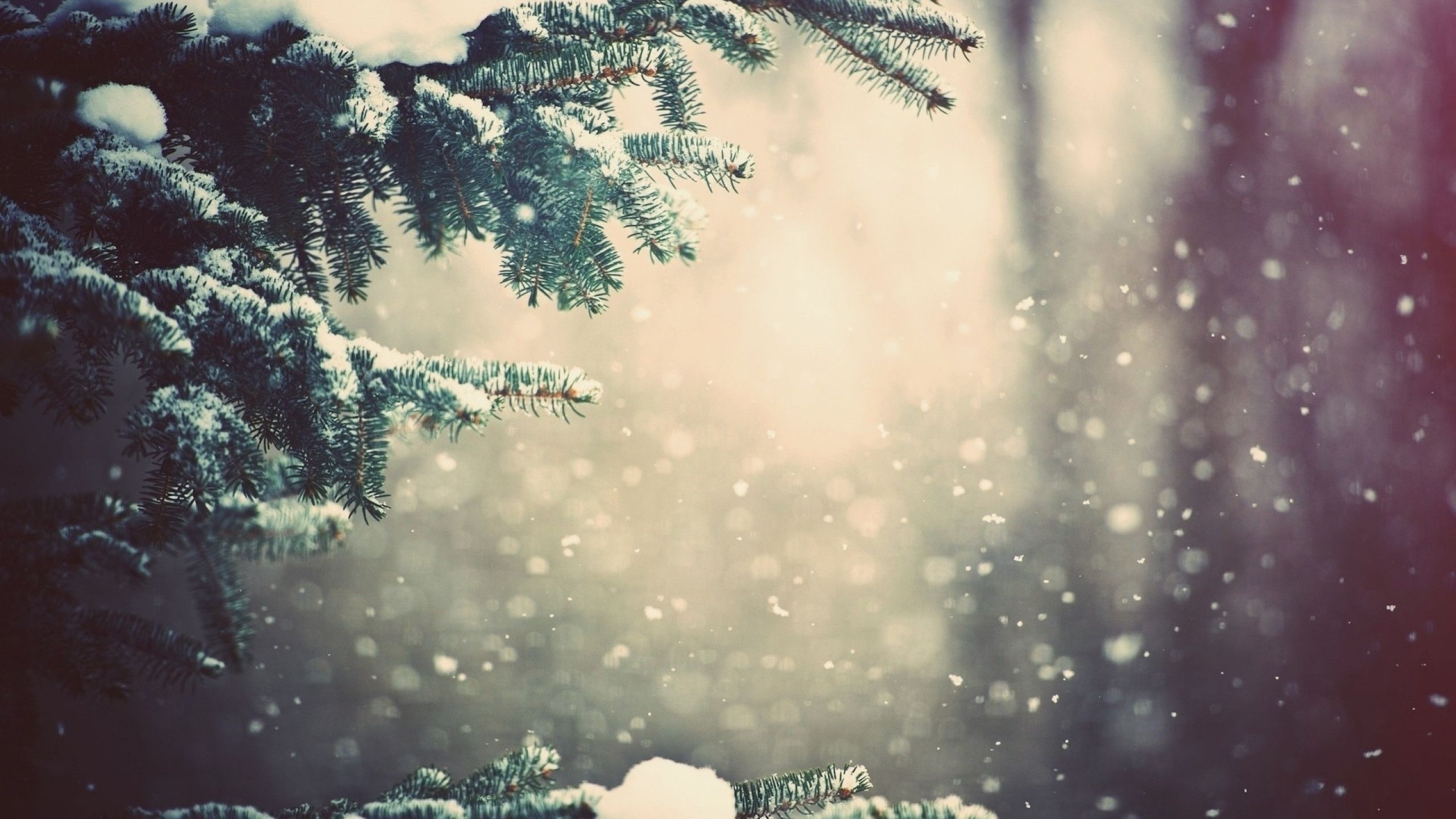 2560x1440 31++ Cozy Winter Desktop Wallpaper HD, Desktop