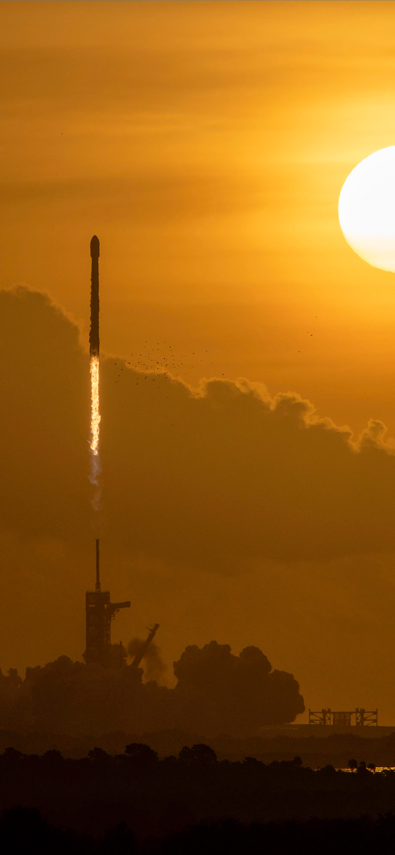 1290x2780 SpaceX wallpaper for iPhone, Phone