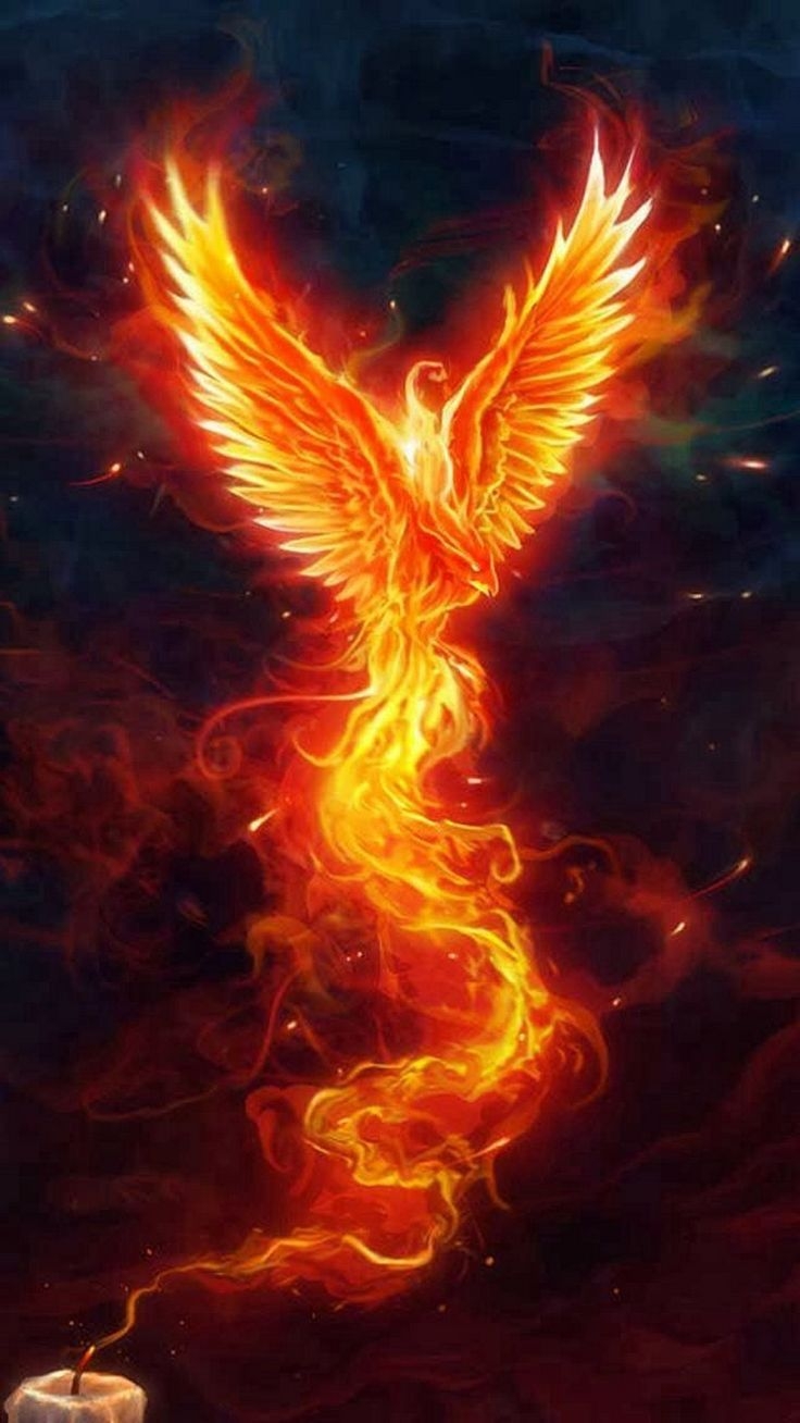 740x1310 Free download Wallpaper Android Phoenix 2019 iPhone X Wallpaper, Phone