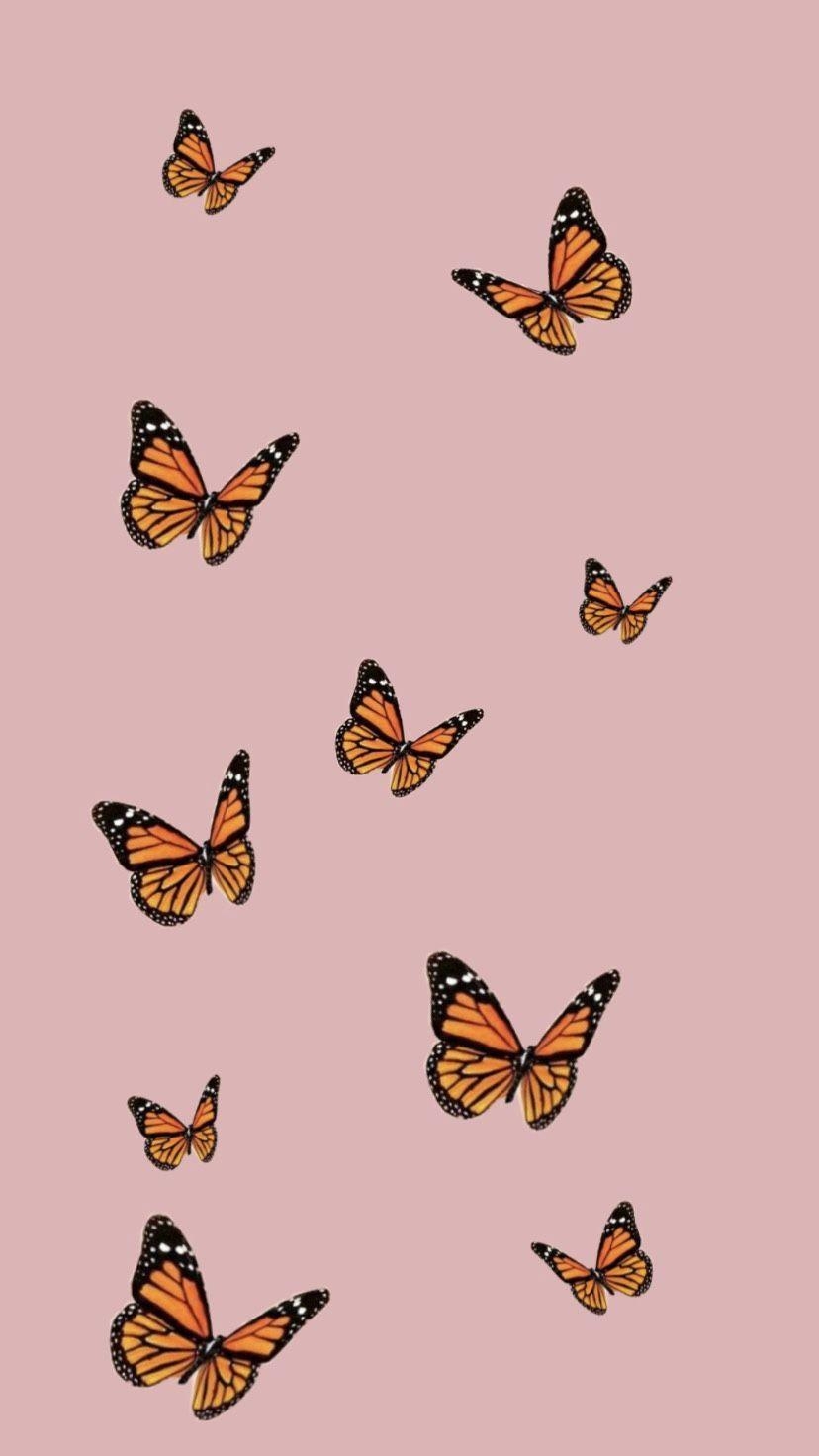 830x1480 Aesthetic Butterfly Wallpaper Free Aesthetic, Phone