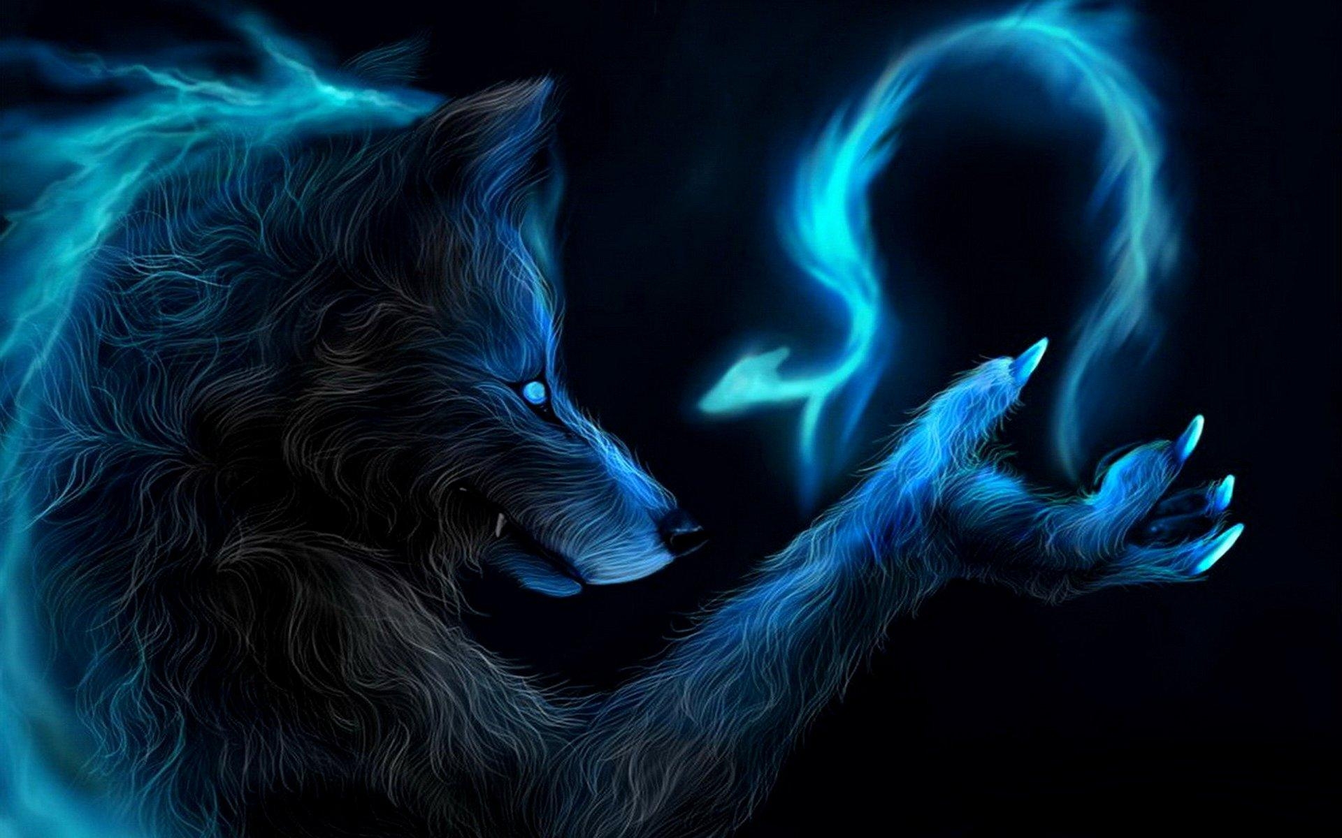 1920x1200 Wolf HD Wallpaper and Background, Desktop