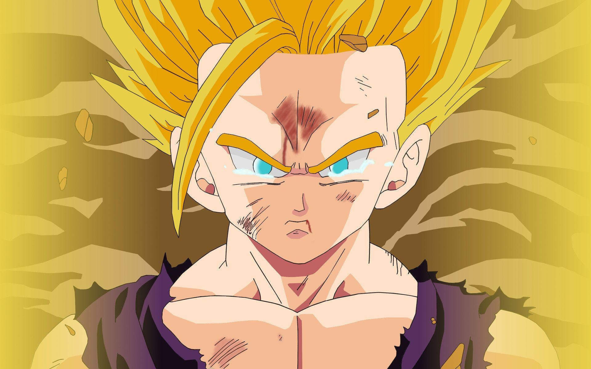 1920x1200 471297 Free Download Ssj2 Gohan Wallpaper  For, Desktop