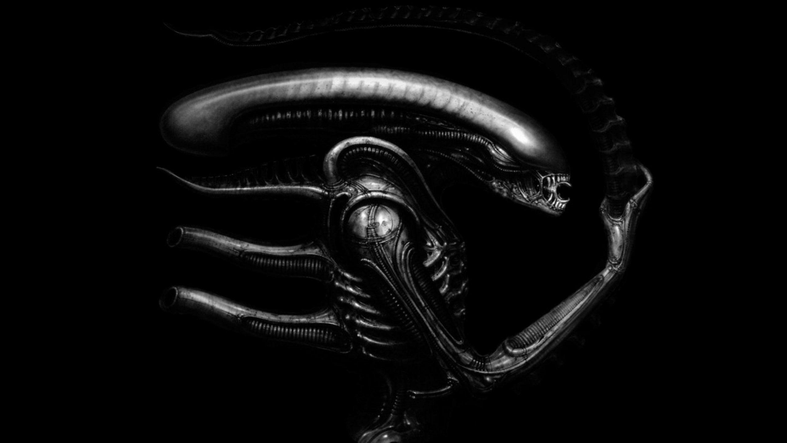 2560x1440 xenomorph wallpaper, Desktop