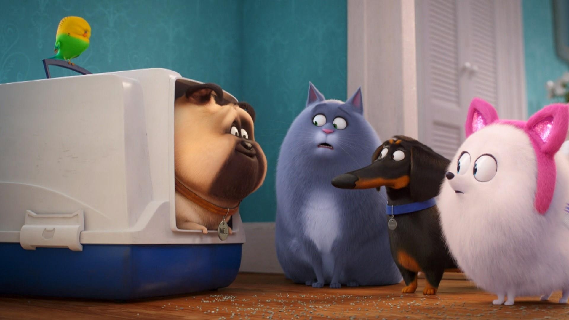 1920x1080 See a sneak peek of 'The Secret Life of Pets 2', Desktop