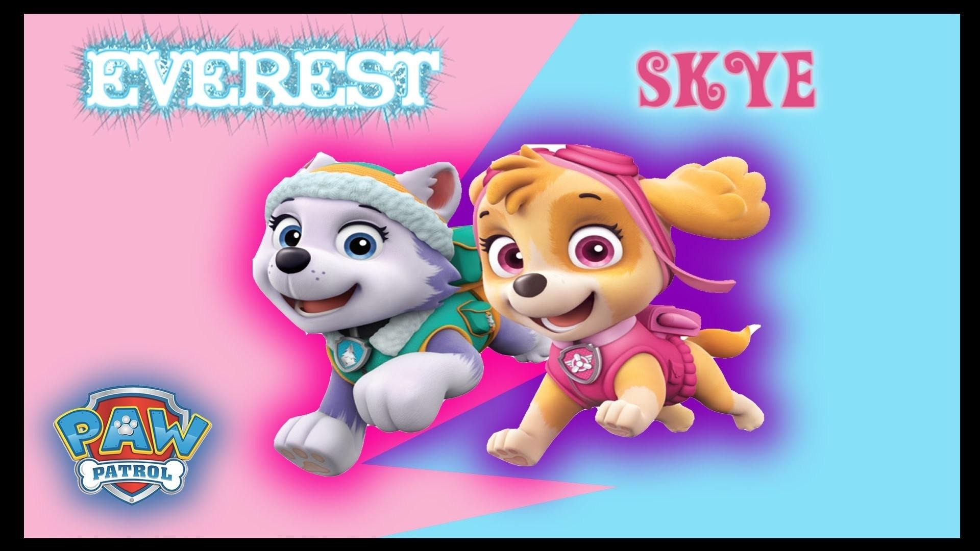 1920x1080 Paw Patrol Wallpaper Patrol Skye Background Free, Desktop