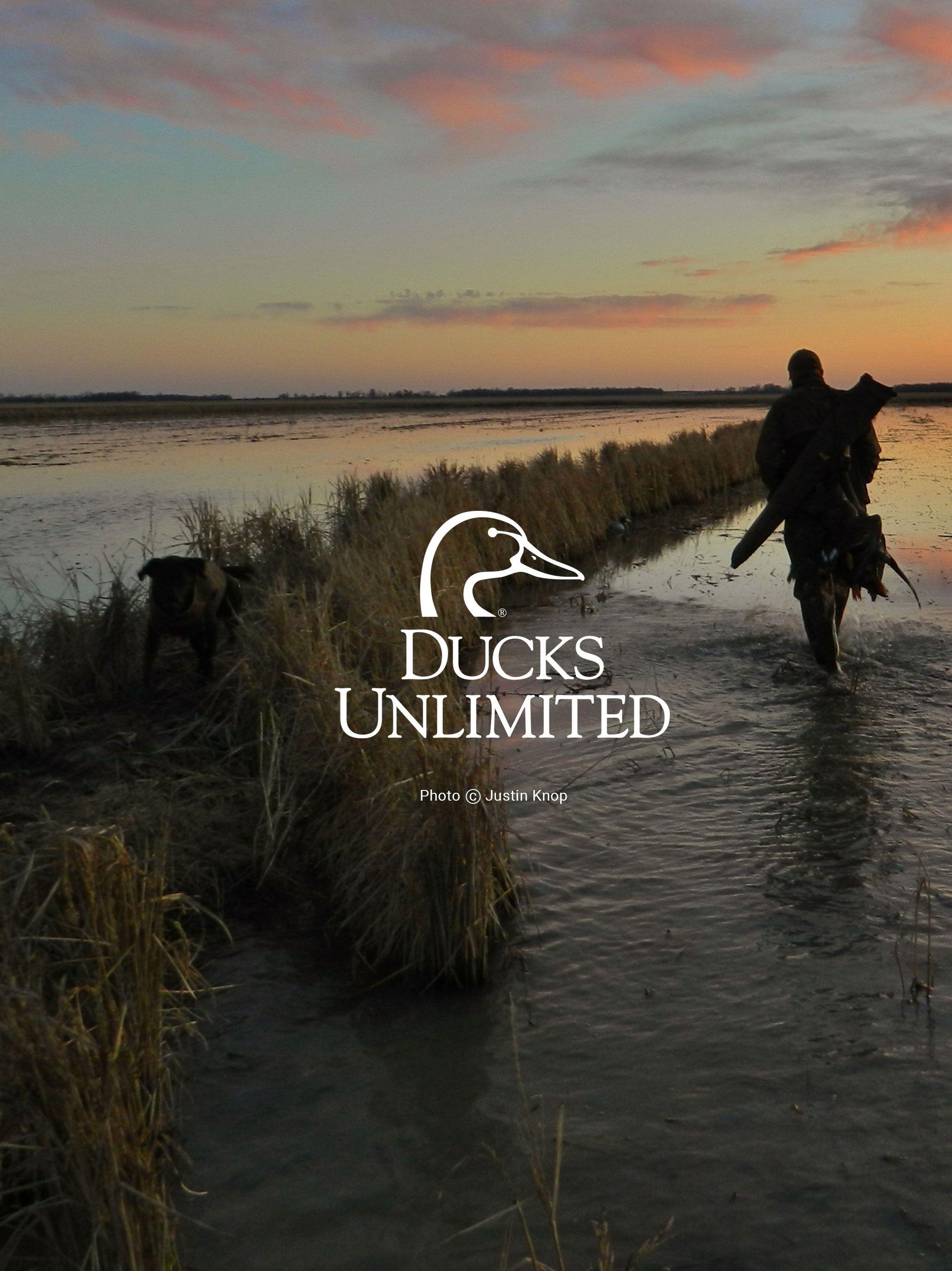 2050x2740 Ducks Unlimited Mobile Wallpaper, Phone