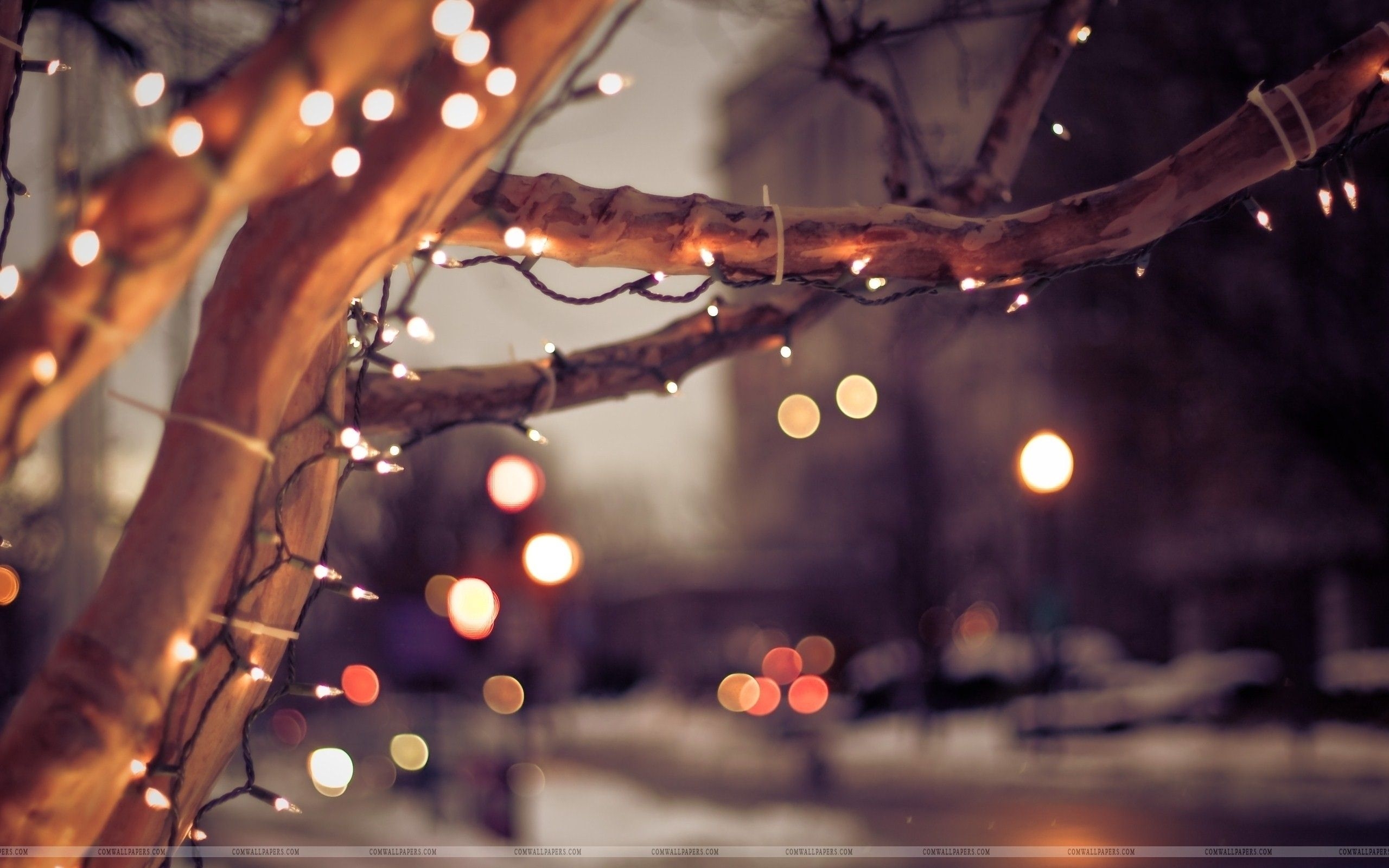 2560x1600 Tumblr Desktop Wallpaper Christmas Aesthetic Wallpaper, Desktop