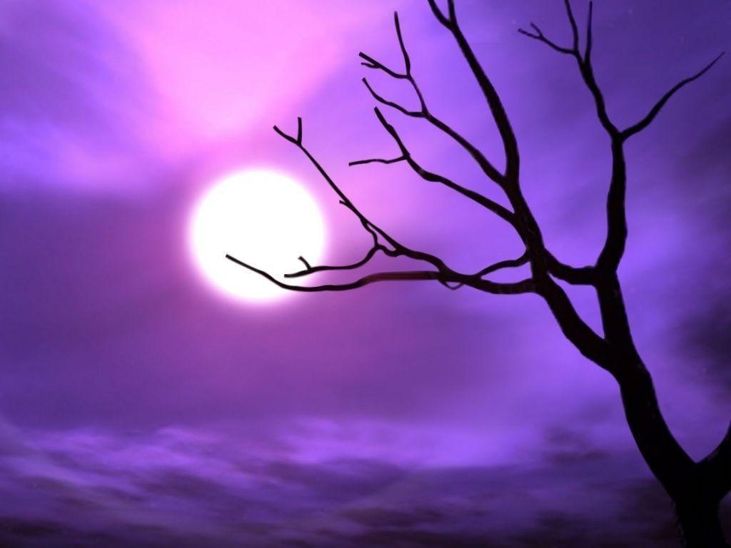 1030x770 HD  Tags Cool Background Purple Ungu Pretty wallpaper, Desktop