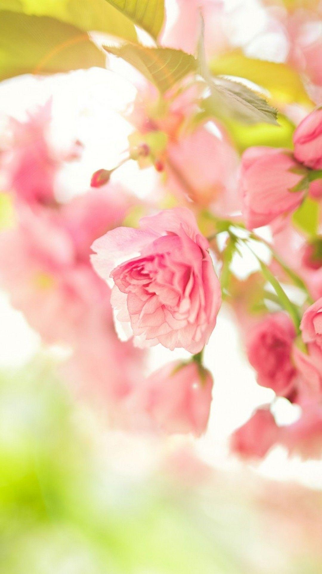 1080x1920 Spring Season Mobile Wallpaper HD. Best HD Wallpaper, Phone