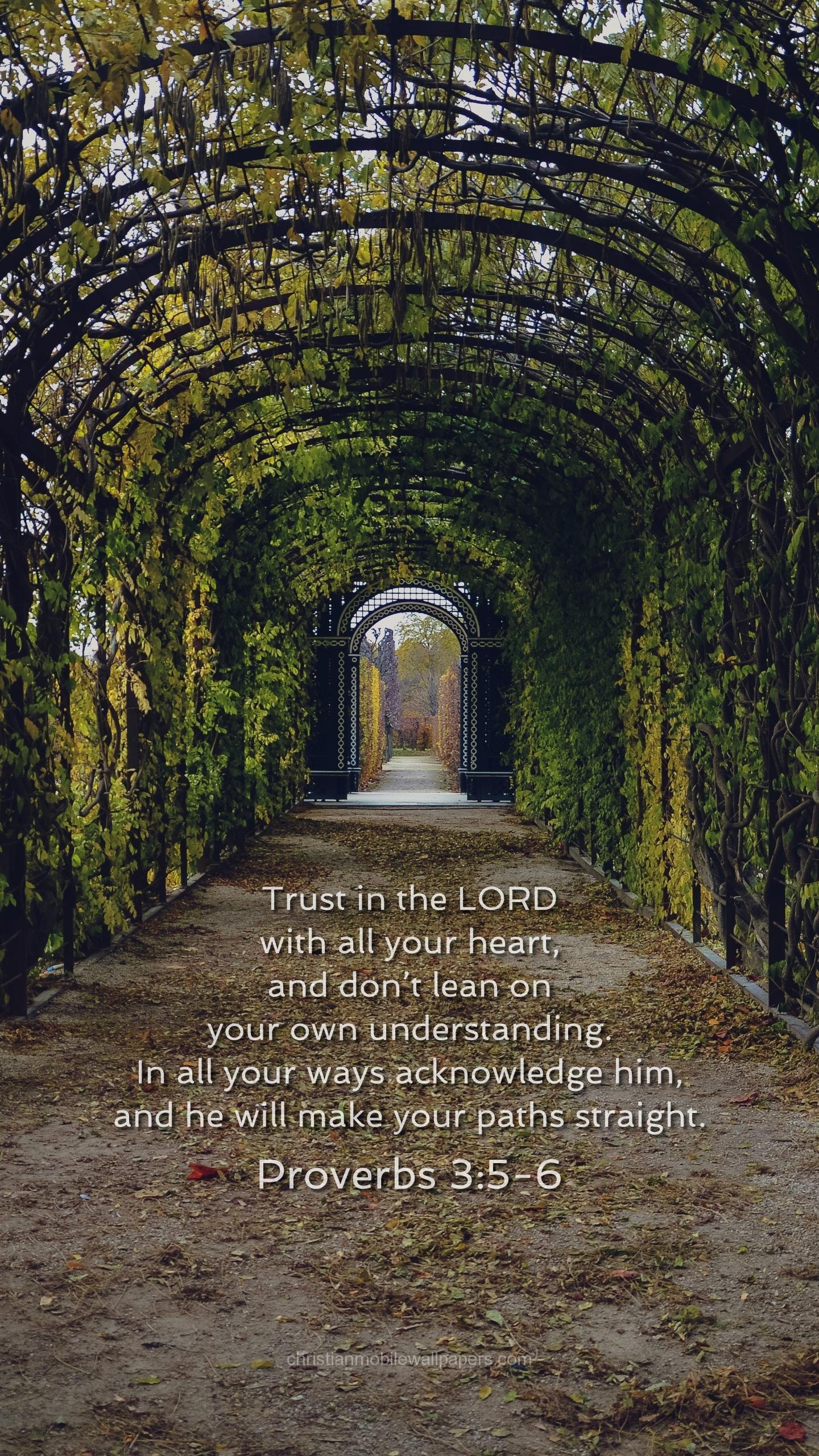 1440x2560 Proverbs 3 5 6 Phone, Phone