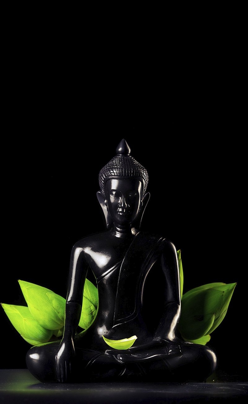 800x1310 Buddha Image Wallpaper, Phone