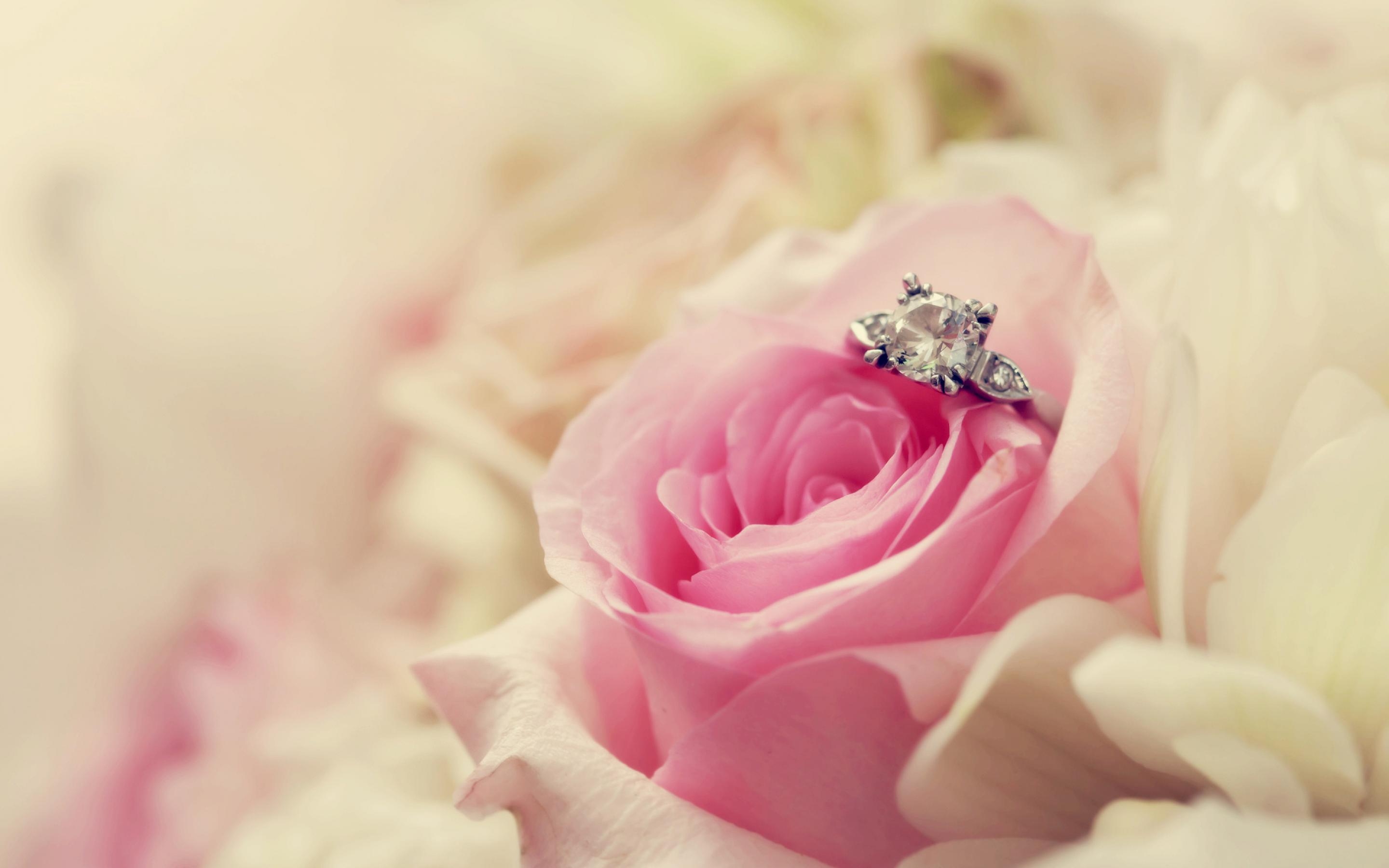 2880x1800 Romantic Pink Rose And Diamond Ring HD Wallpaper, Desktop