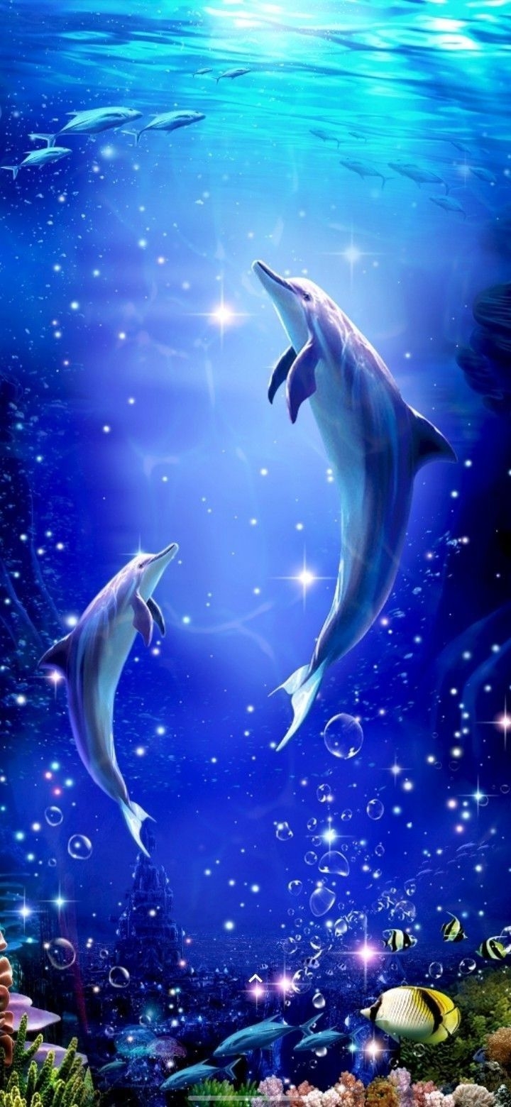 720x1560 Dolphin Wallpaper, Phone