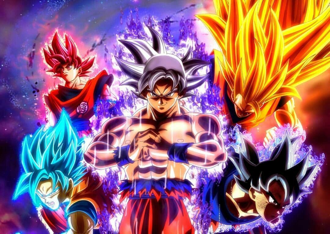 1080x770 Goku Mastered Ultra Instinct Wallpaper HD for Android, Desktop