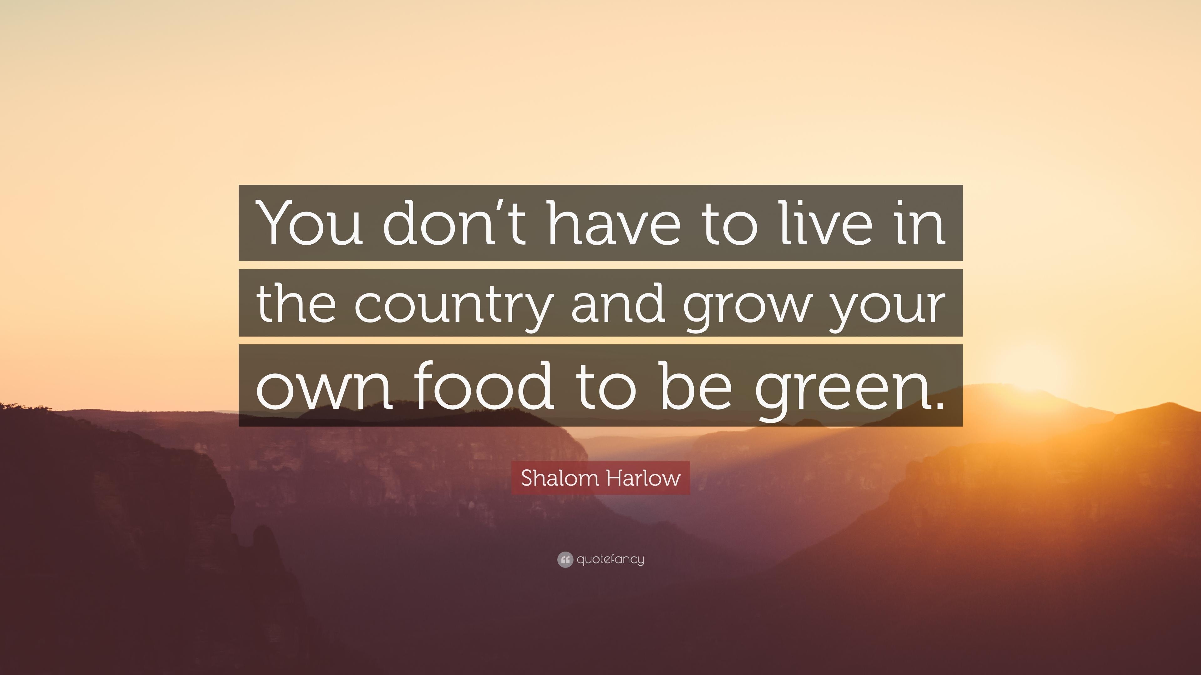 3840x2160 Shalom Harlow Quote: “You don't have to live in the country and grow, Desktop