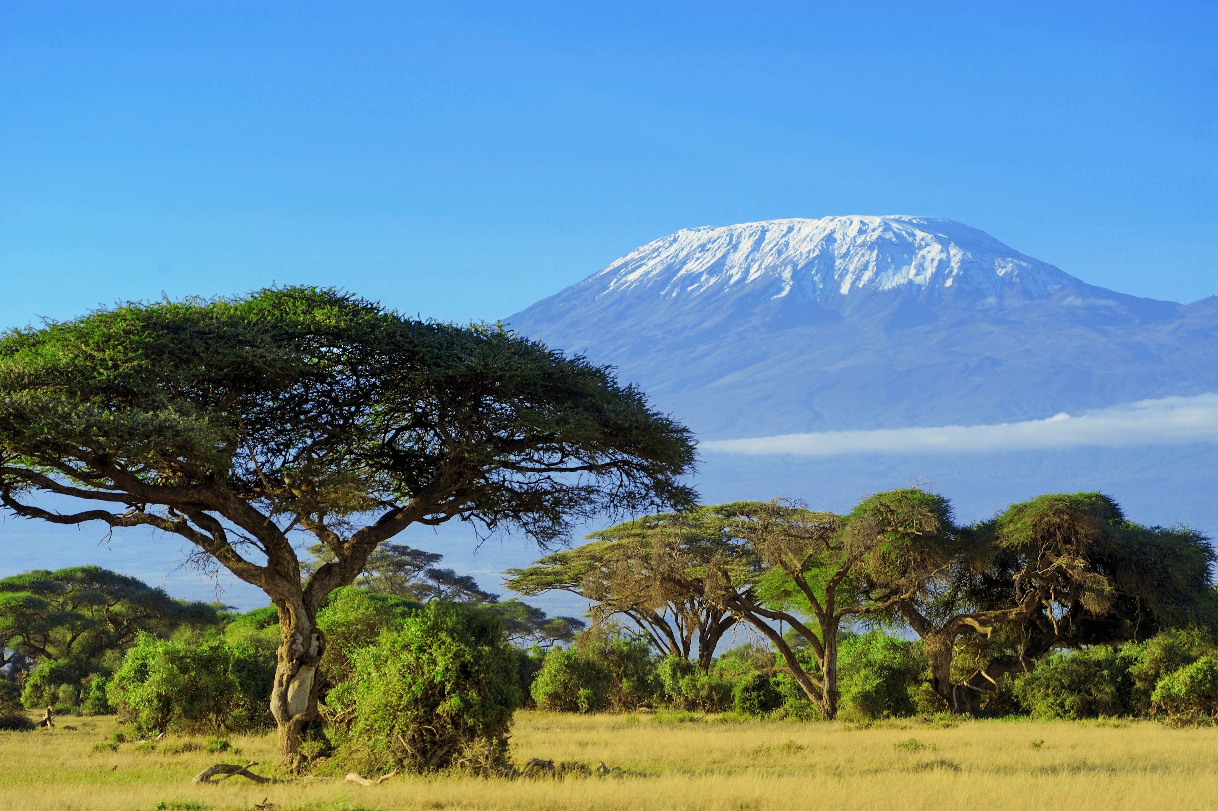 4260x2840 HD Widescreen Wallpaper kilimanjaro wallpaper Nixon, Desktop