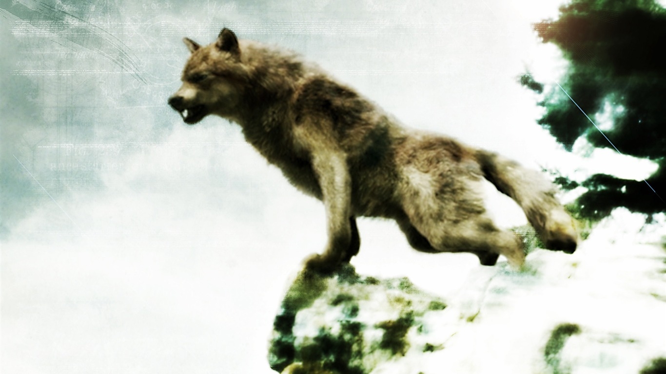 1370x770 Jacob Black Werewolf Form The Twilight Saga Series HD Movie Wallpaper, Desktop