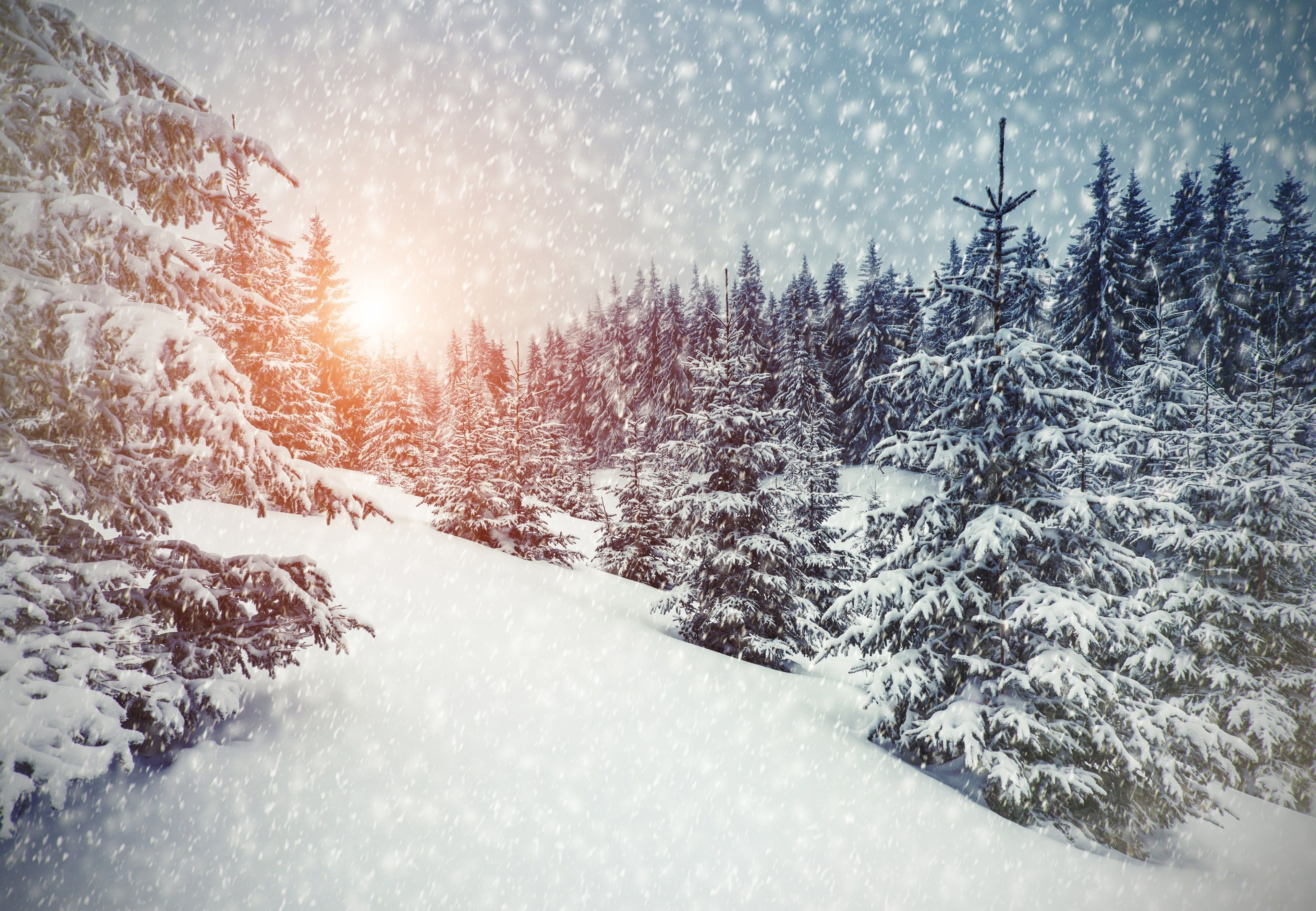 3840x2660 winter 4k wallpaper HD top. Winter landscape, Snow forest, Winter wallpaper, Desktop