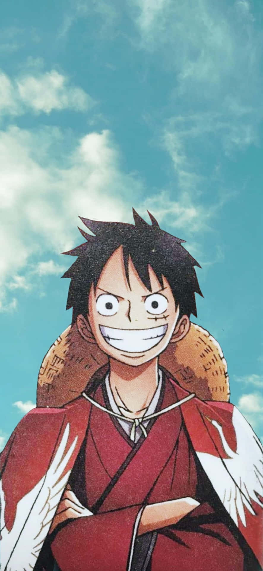 890x1920 Monkey D. Luffy Wallpaper, Phone