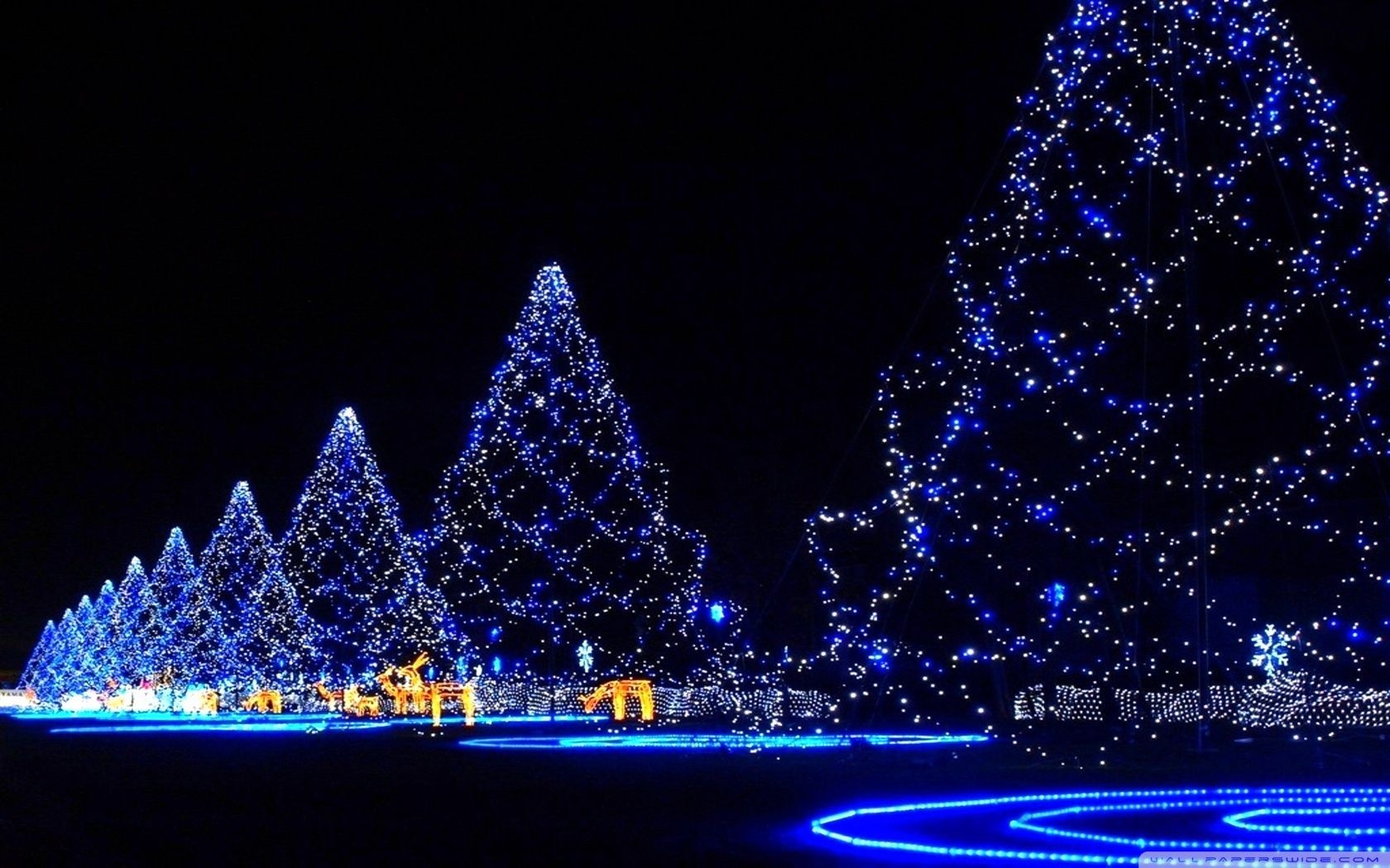 1680x1050 Neon xmas trees Ultra HD Desktop Background Wallpaper for: Widescreen & UltraWide Desktop & Laptop, Desktop