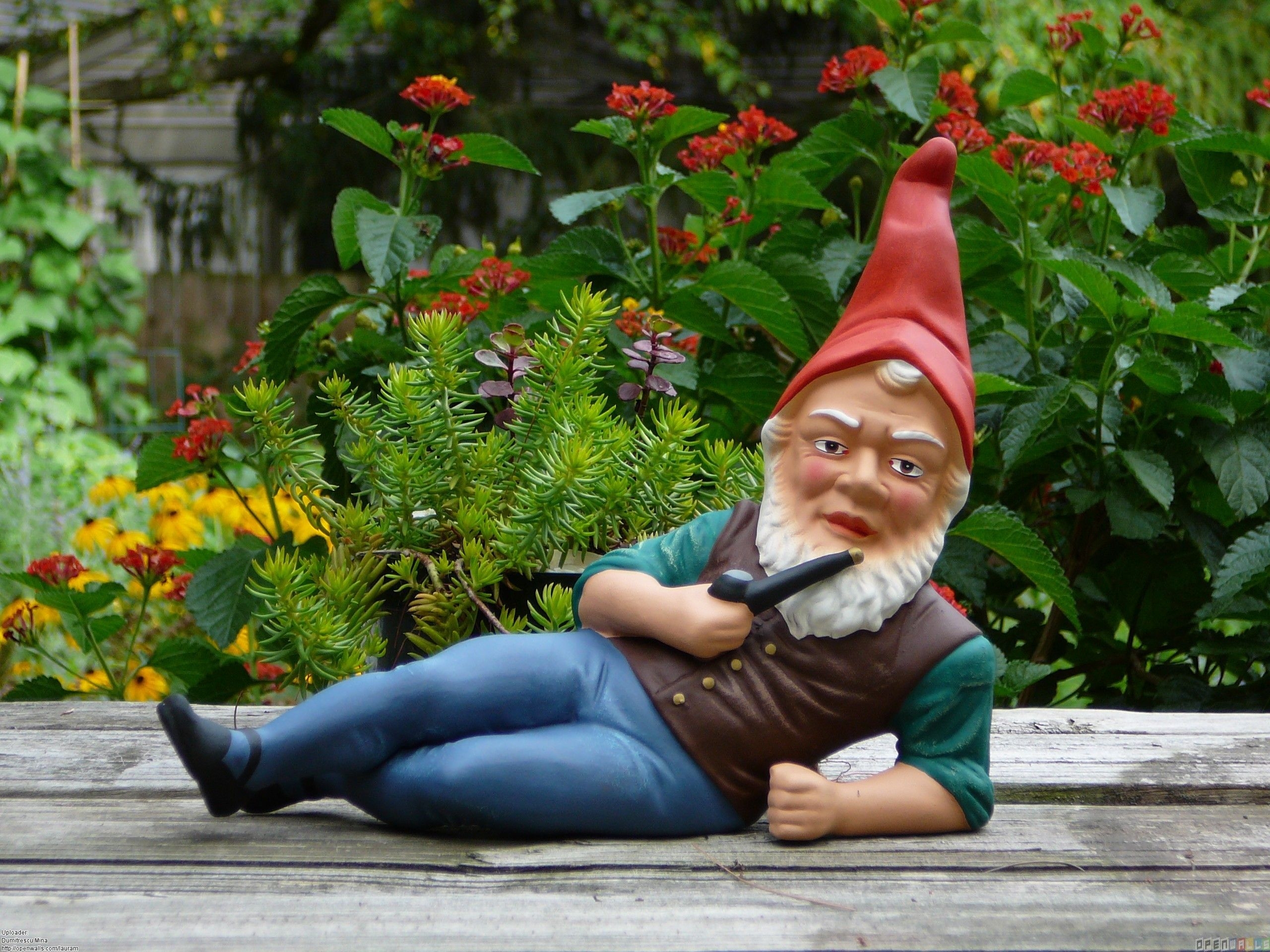 2560x1920 Garden Gnome Wallpaper Free Garden Gnome Background, Desktop