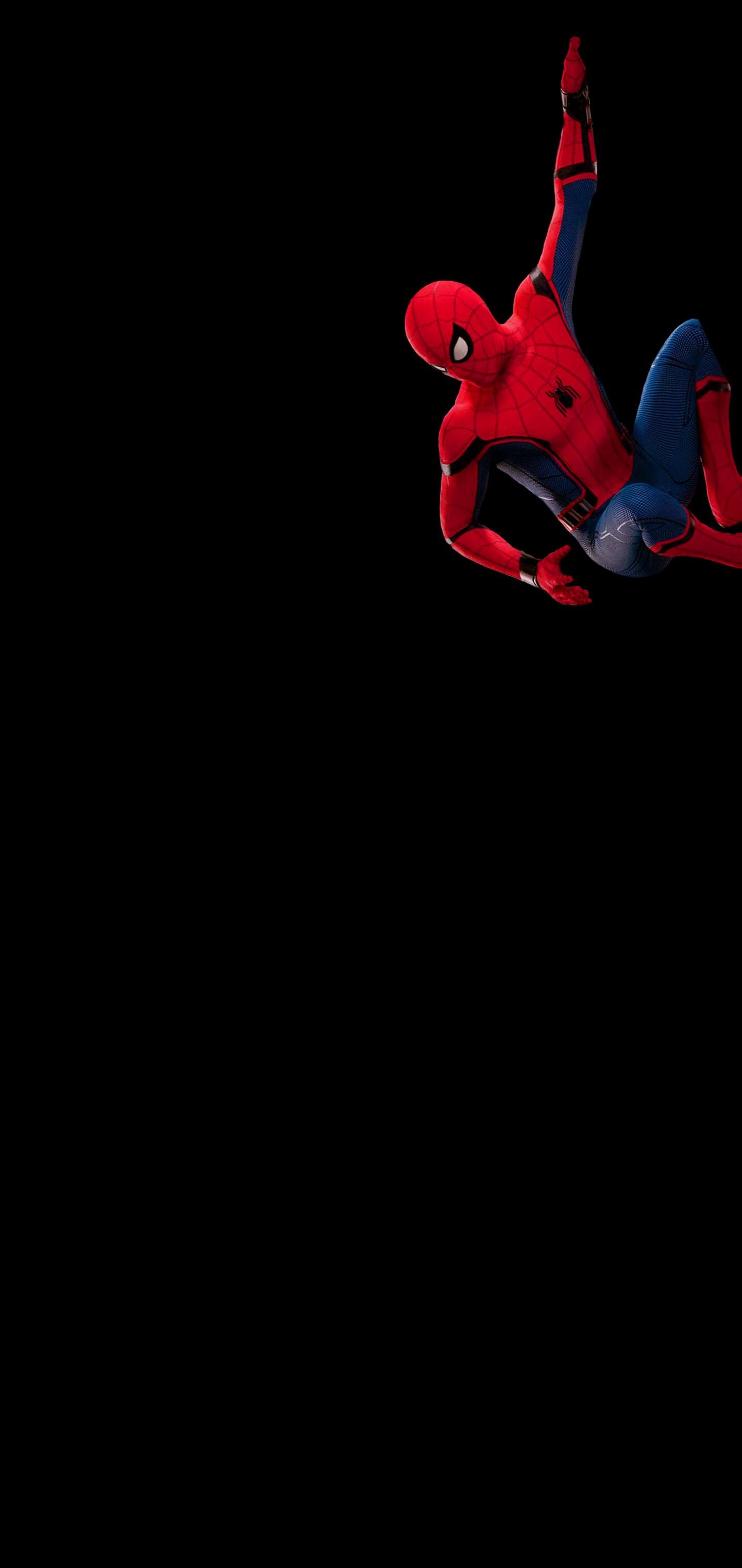 1440x3040 Hanging spiderman s10 plus, Phone