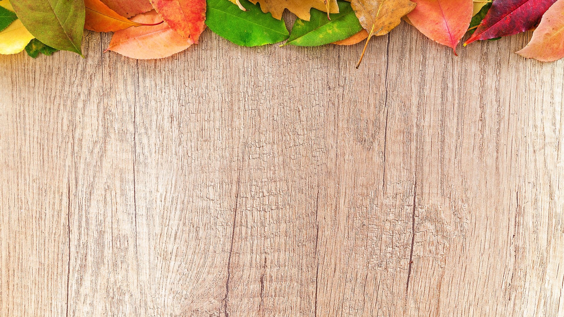 1920x1080 Autumn Wood Chromebook Wallpaper, Desktop