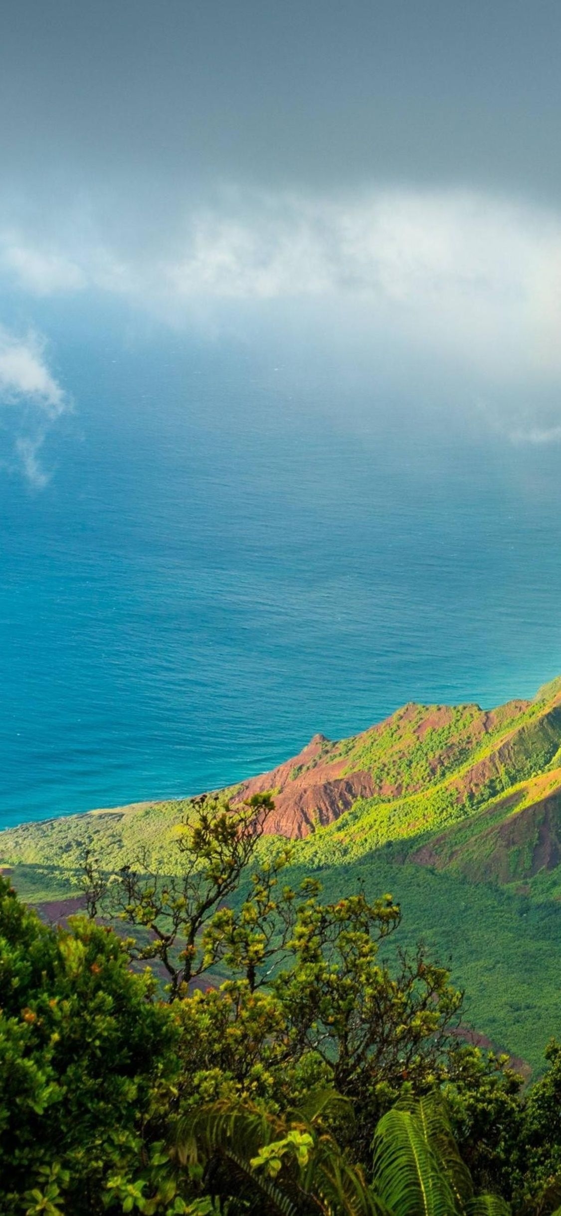 1130x2440 Hawaii iPhone Wallpaper, HD Hawaii iPhone Background on WallpaperBat, Phone