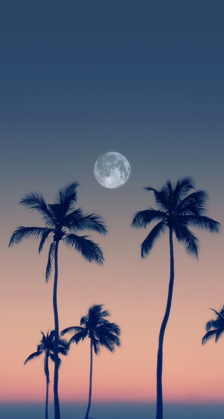 750x1400 Cute Moon Wallpaper Free Cute Moon Background, Phone