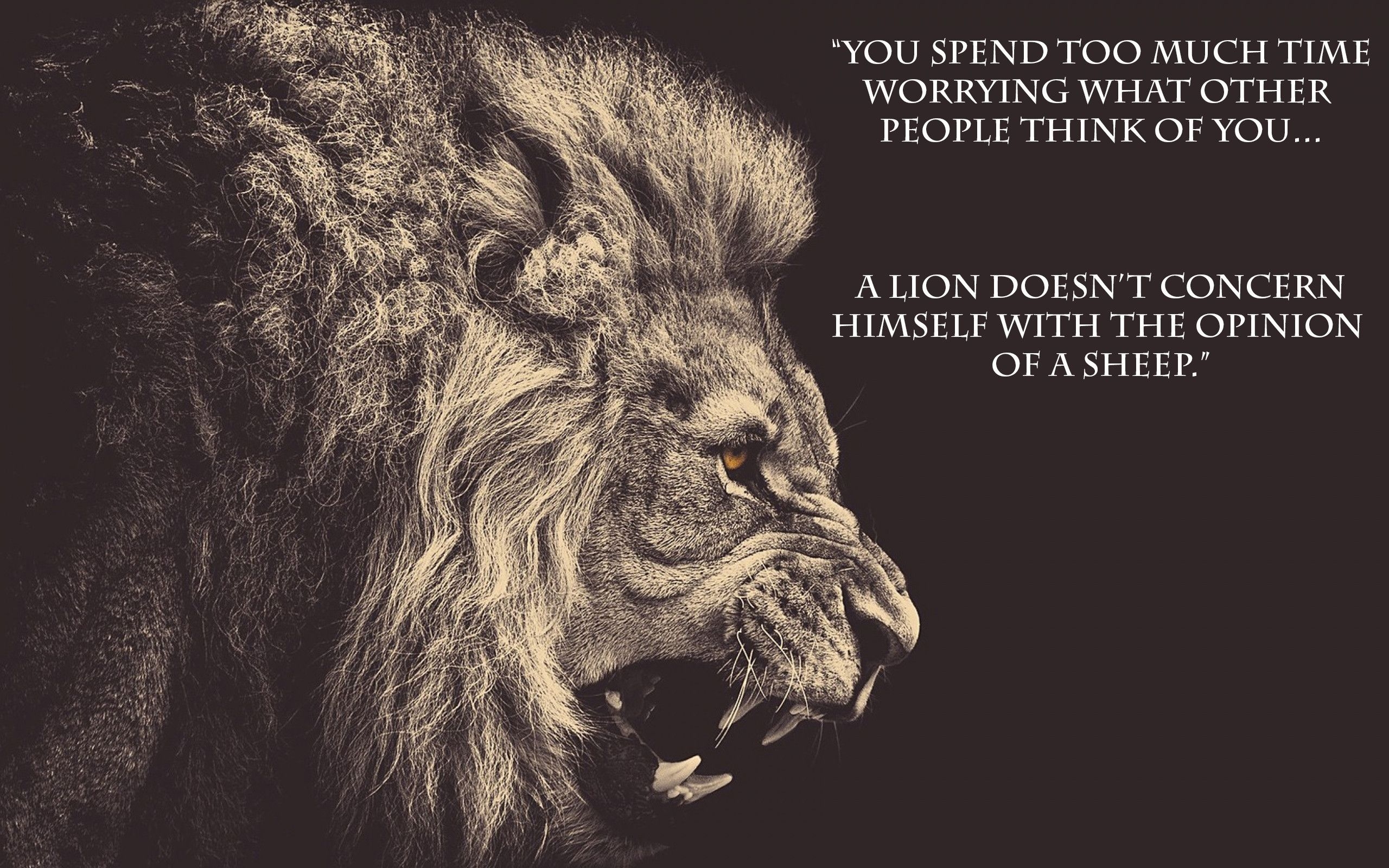 2560x1600 Best Motivational Wallpaper, Desktop