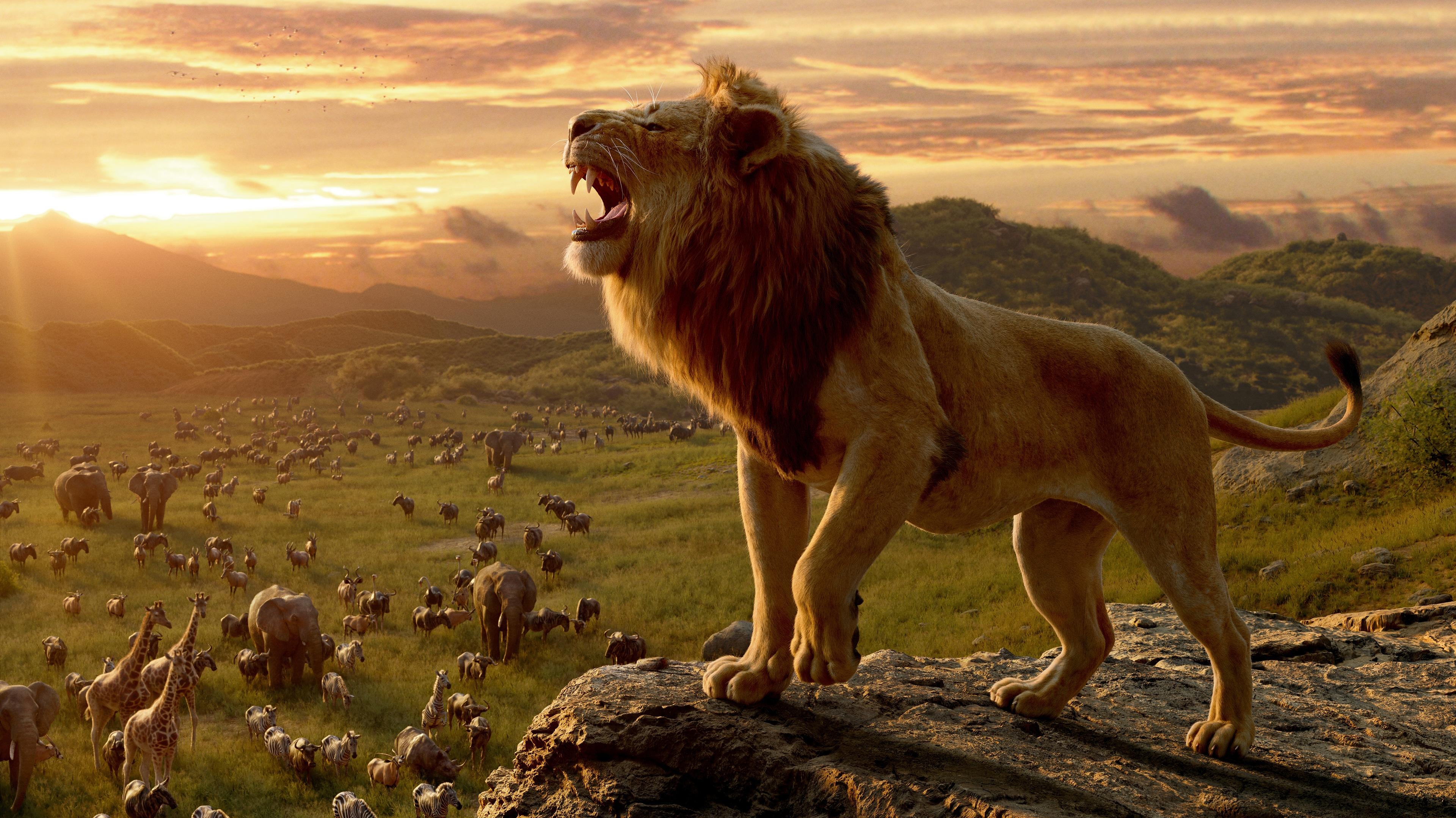 3840x2160 Wallpaper 4k The Lion King Movie 10k wallpaper, 2019 movies, Desktop