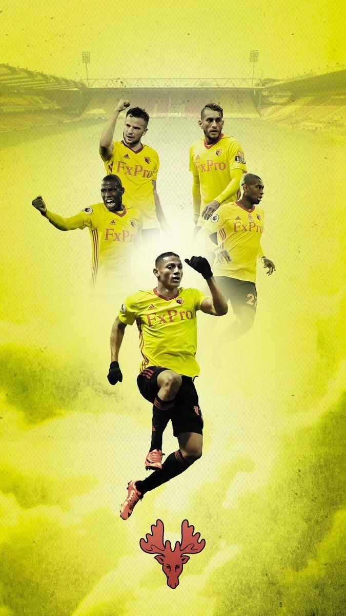 680x1200 Mark Griffin #watfordfc wallpaper for you Hornets, Phone