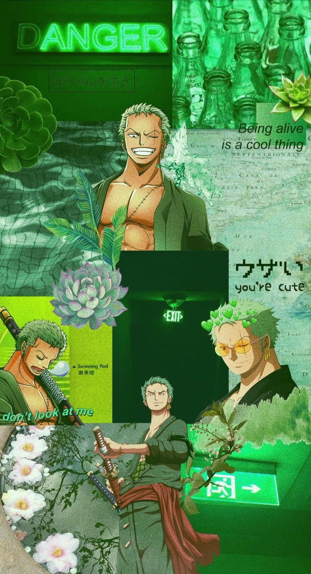 1080x2000 Roronoa Zoro. Manga anime one piece, One piece wallpaper iphone, One piece drawing, Phone