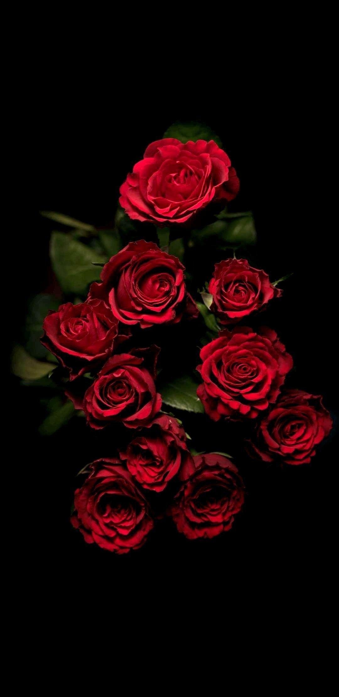 1080x2220 Wallpaper. By Artist Unknown. Roses & Flowers. Rose, Phone