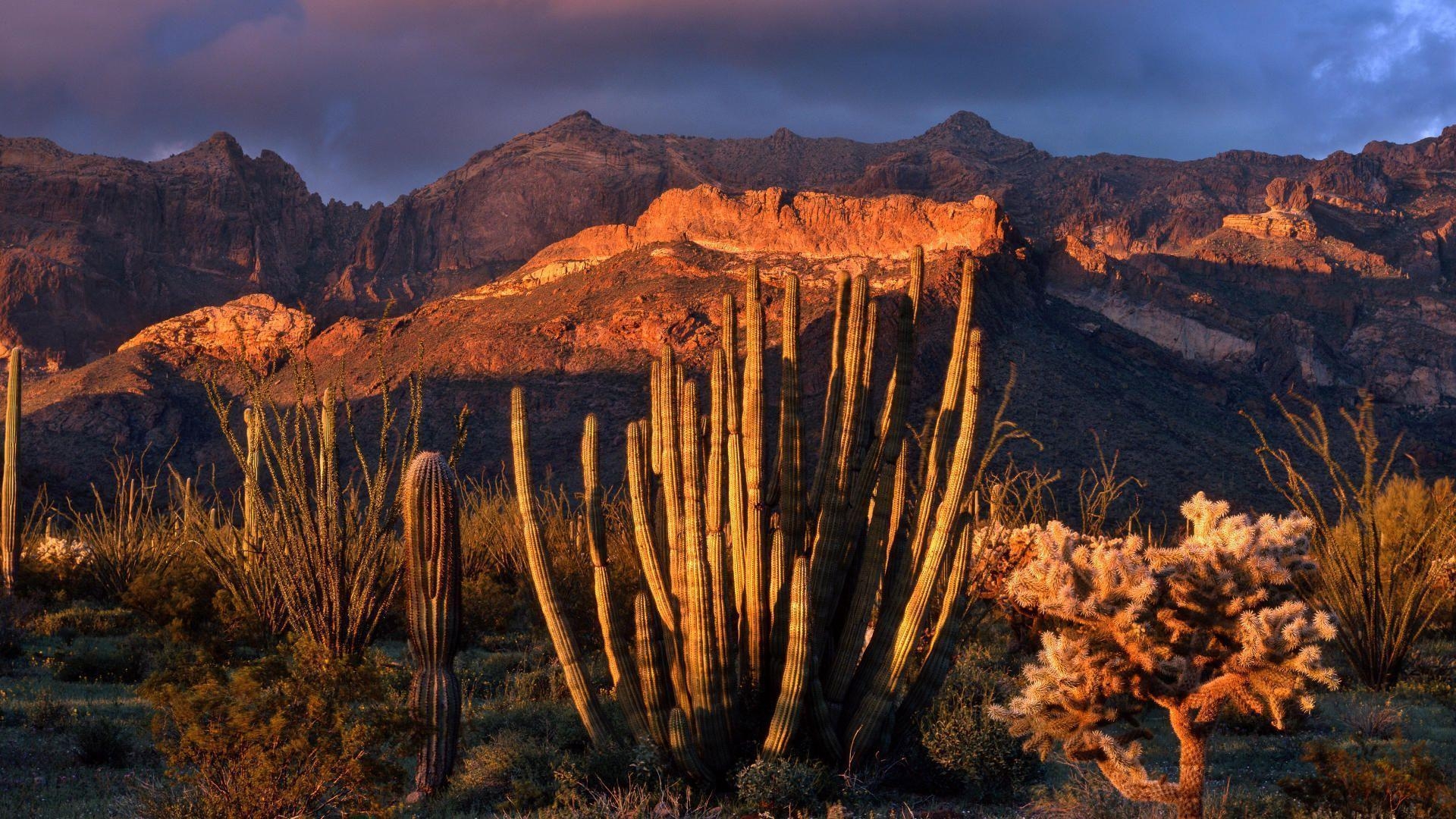 1920x1080 Arizona Sunset Wallpaper, Desktop