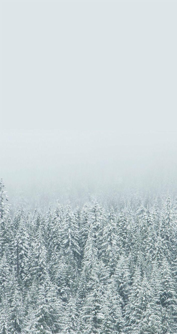 710x1340 Winter Aesthetic Wallpaper Free Winter Aesthetic, Phone