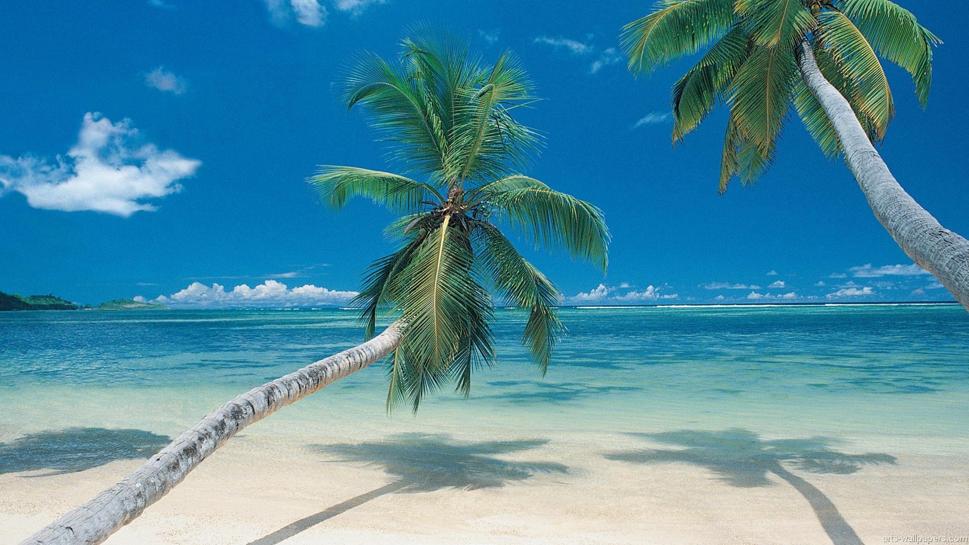 1920x1080 Tropical Paradise Wallpaper, Hawaii, Maldives, Tahiti Islands, Desktop