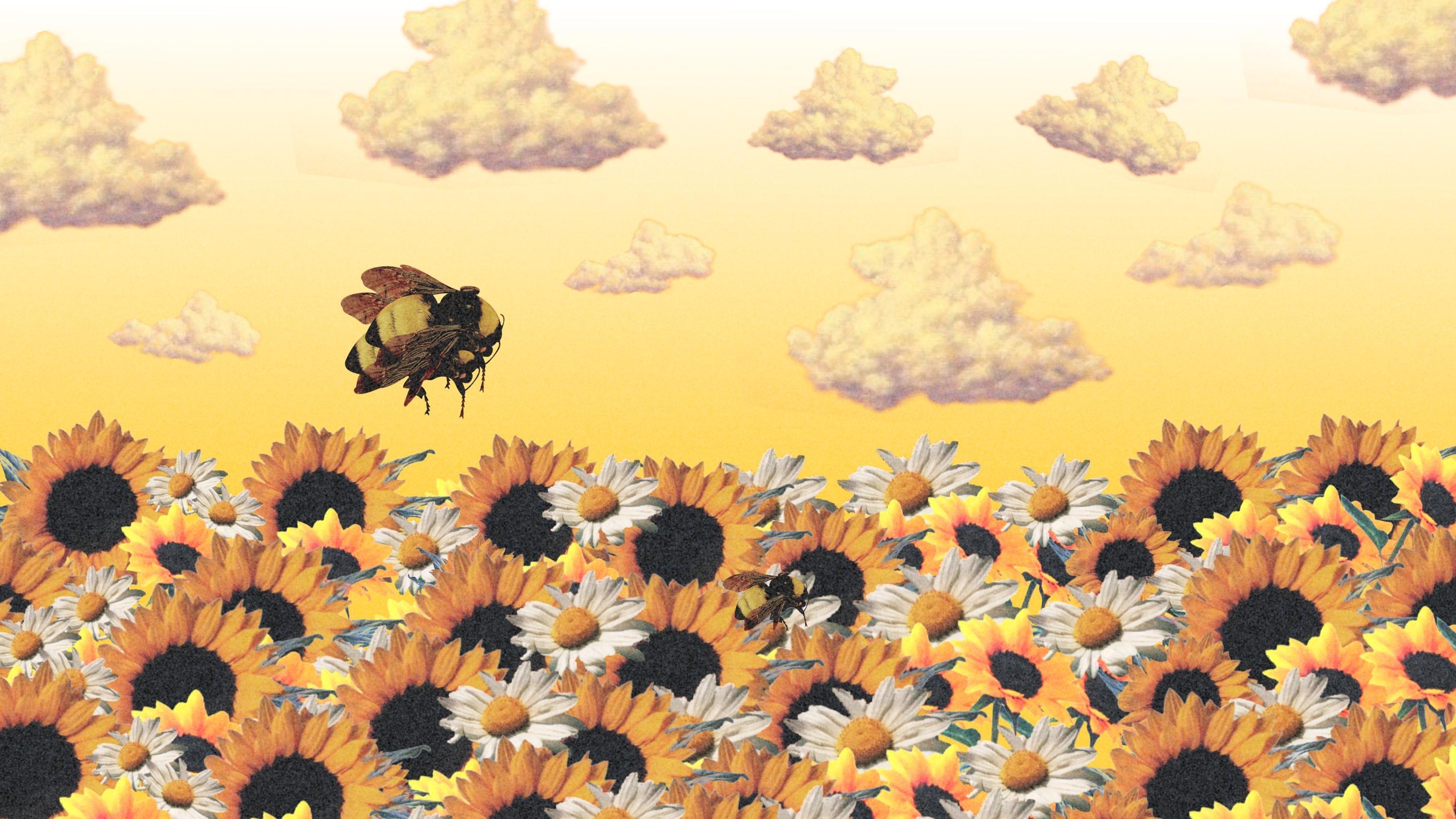 2880x1620 Flower Boy Tyler the Creator Wallpaper Free Flower Boy, Desktop