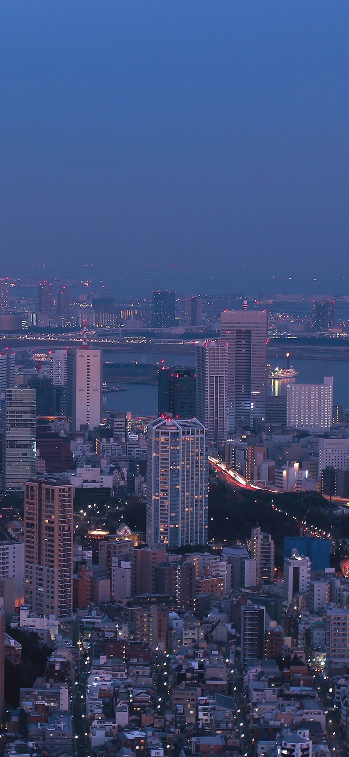 1130x2440 city tokyo nature night photo, Phone