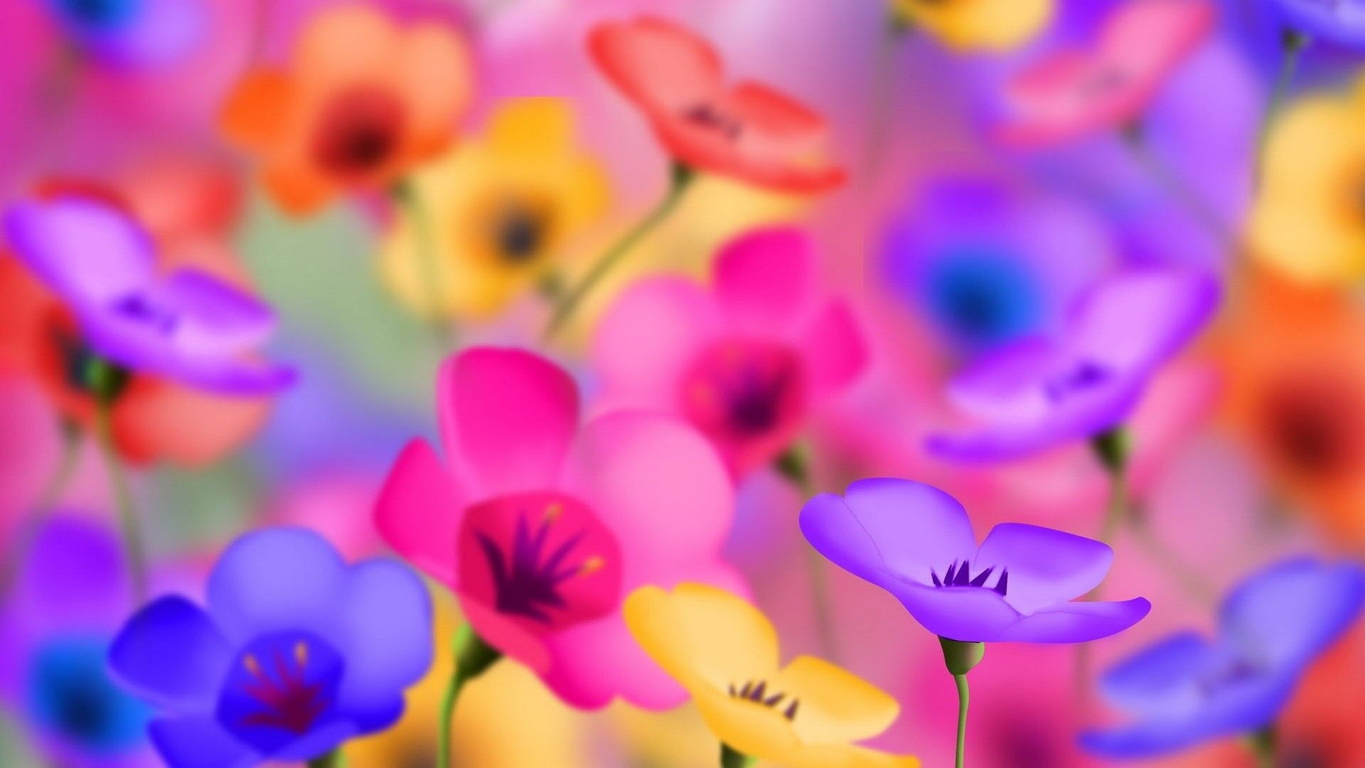 1920x1080 4K wallpaper: Flower Image HD Wallpaper 1080p Download, Desktop