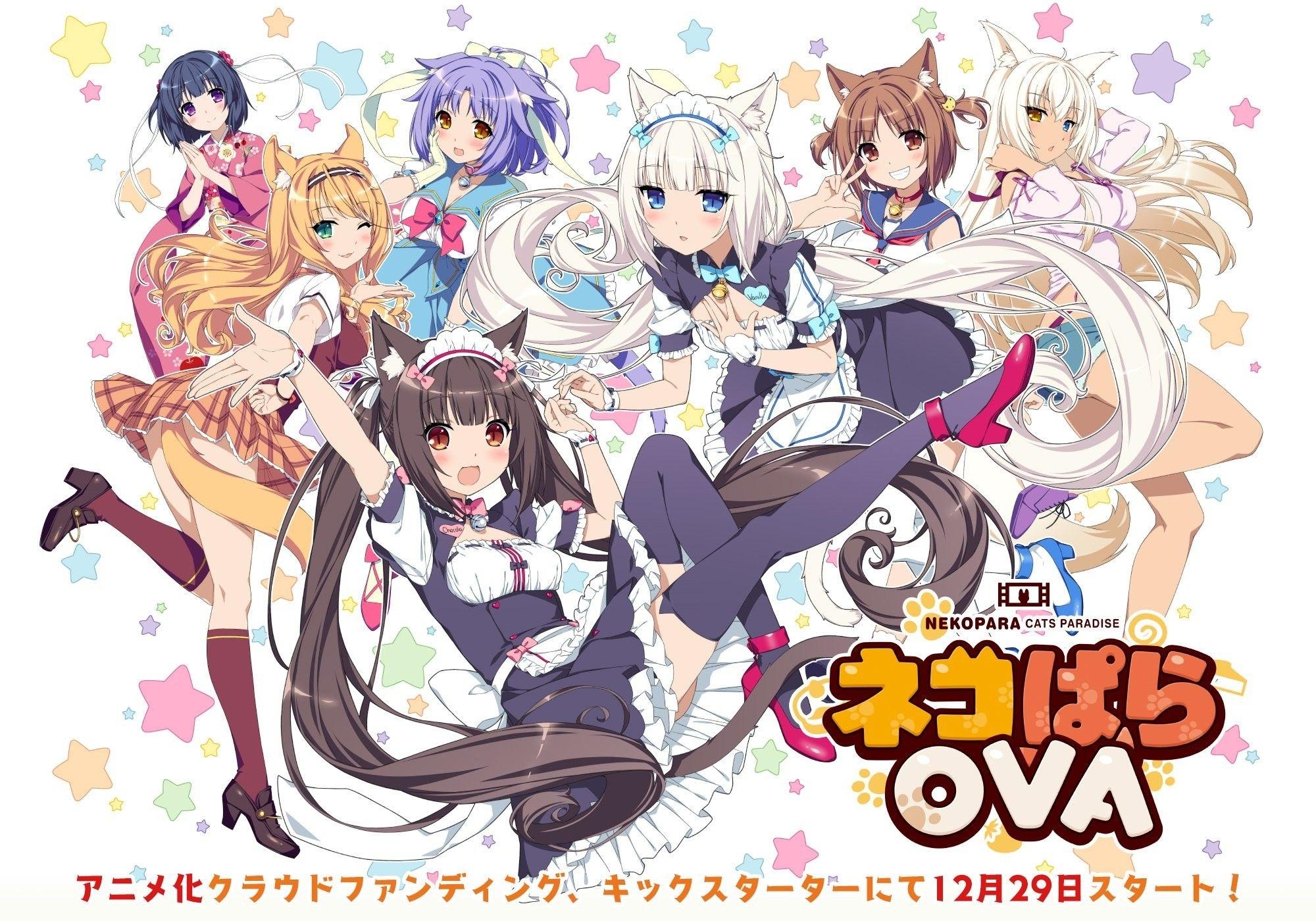 2000x1400 Nekopara wallpaper.com Wallpaper World, Desktop