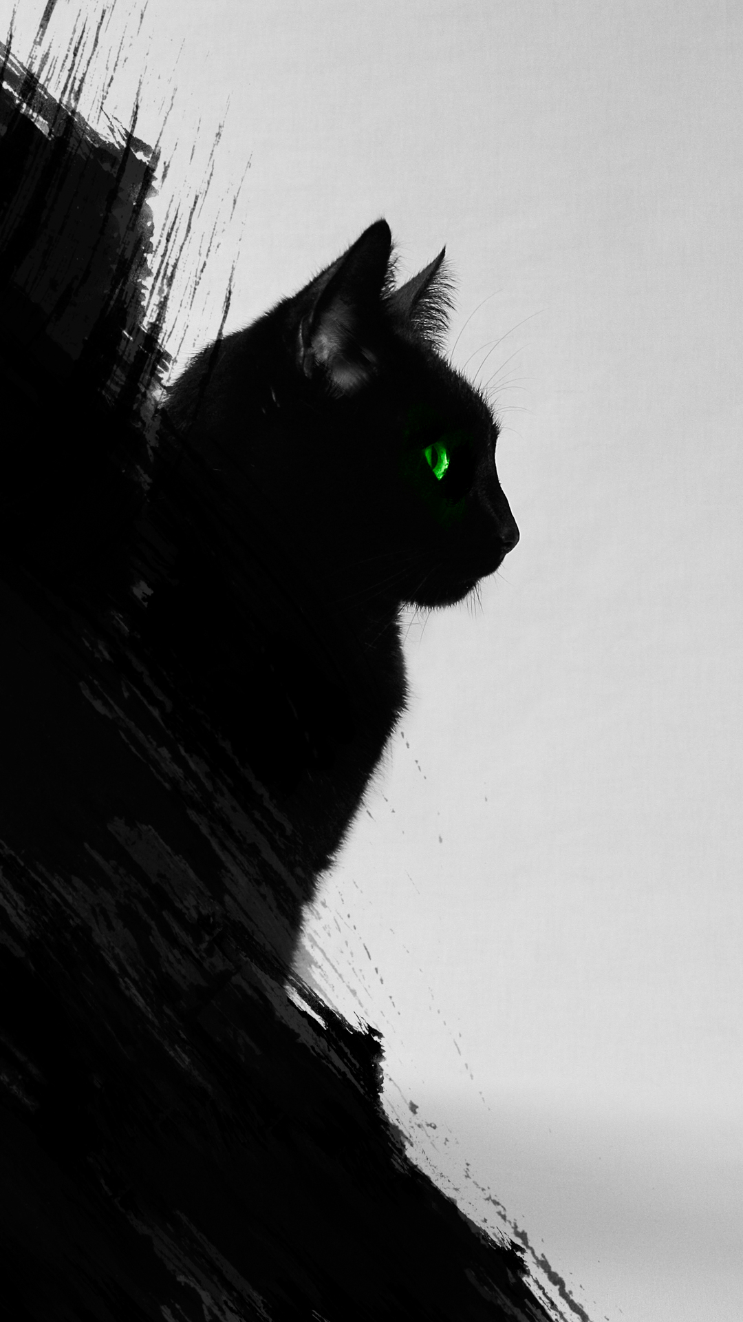 1080x1920 Black Cat iPhone Wallpaper HD, Phone