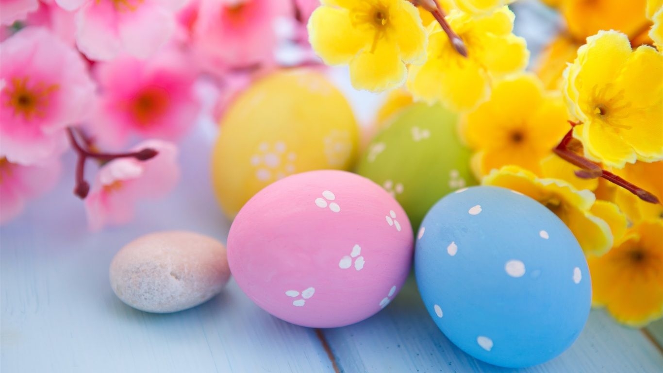 1370x770 Easter Eggs and Spring Blossoms  Resolution HD 4k Wallpaper, Image, Background, Photo and Picture, Desktop