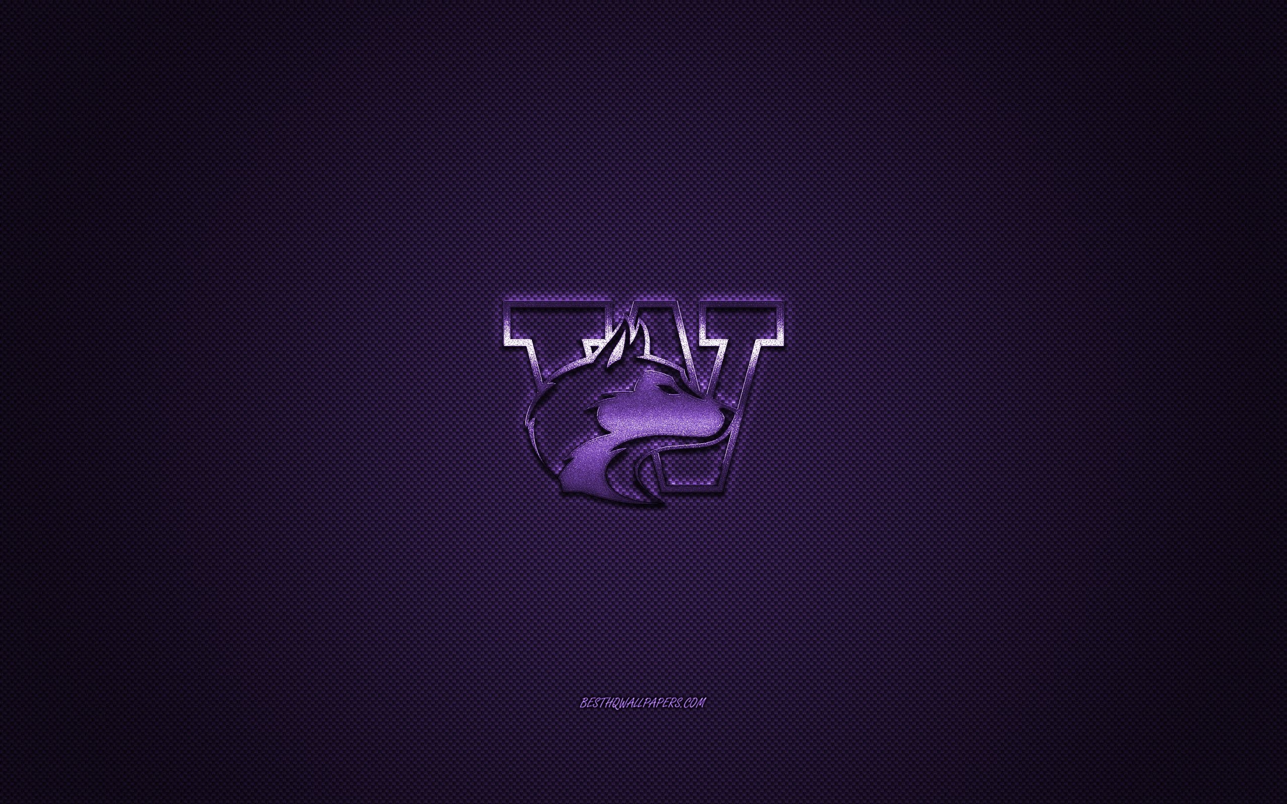 2560x1600 Download wallpaper Washington Huskies logo, American football club, NCAA, purple logo, purple carbon fiber background, American football, Seattle, Washington, USA, Washington Huskies, University of Washington for desktop with resolution, Desktop