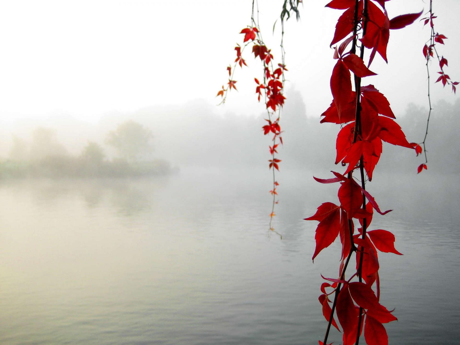 1920x1440 Red Leaf Elegant Beauty Lake Desktop Wallpaper, Desktop