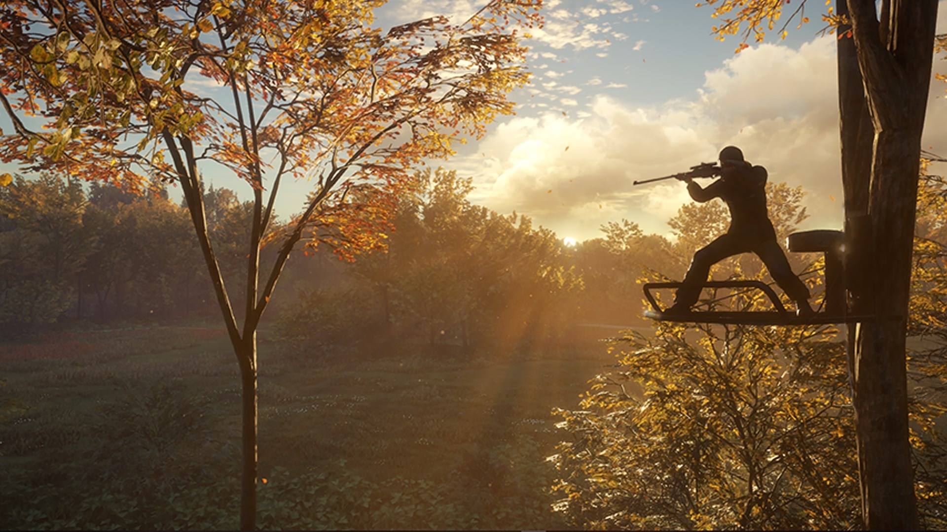 1920x1080 Free download Buy theHunter Call of the Wild Treestand Tripod Pack [] for your Desktop, Mobile & Tablet. Explore Treestand Wallpaper, Desktop